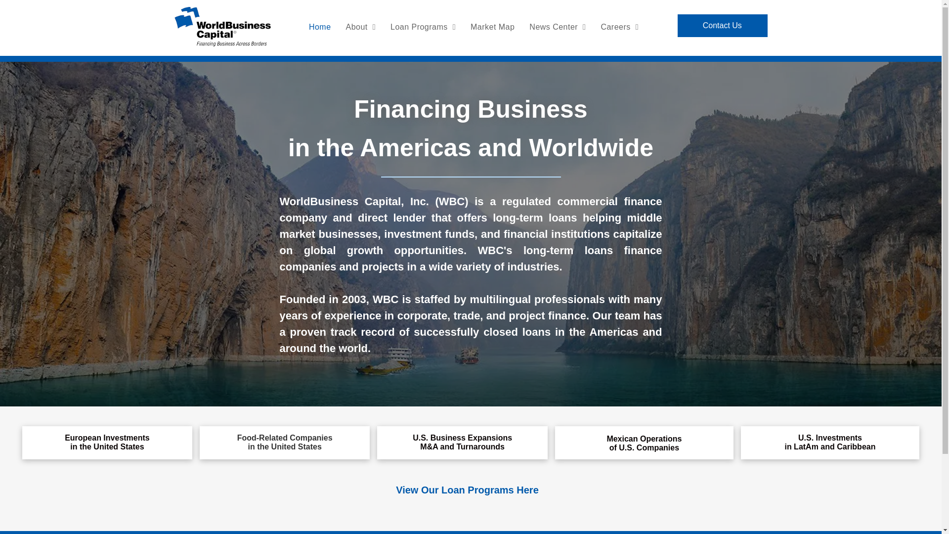 website screenshot of https://worldbusinesscapital.com/