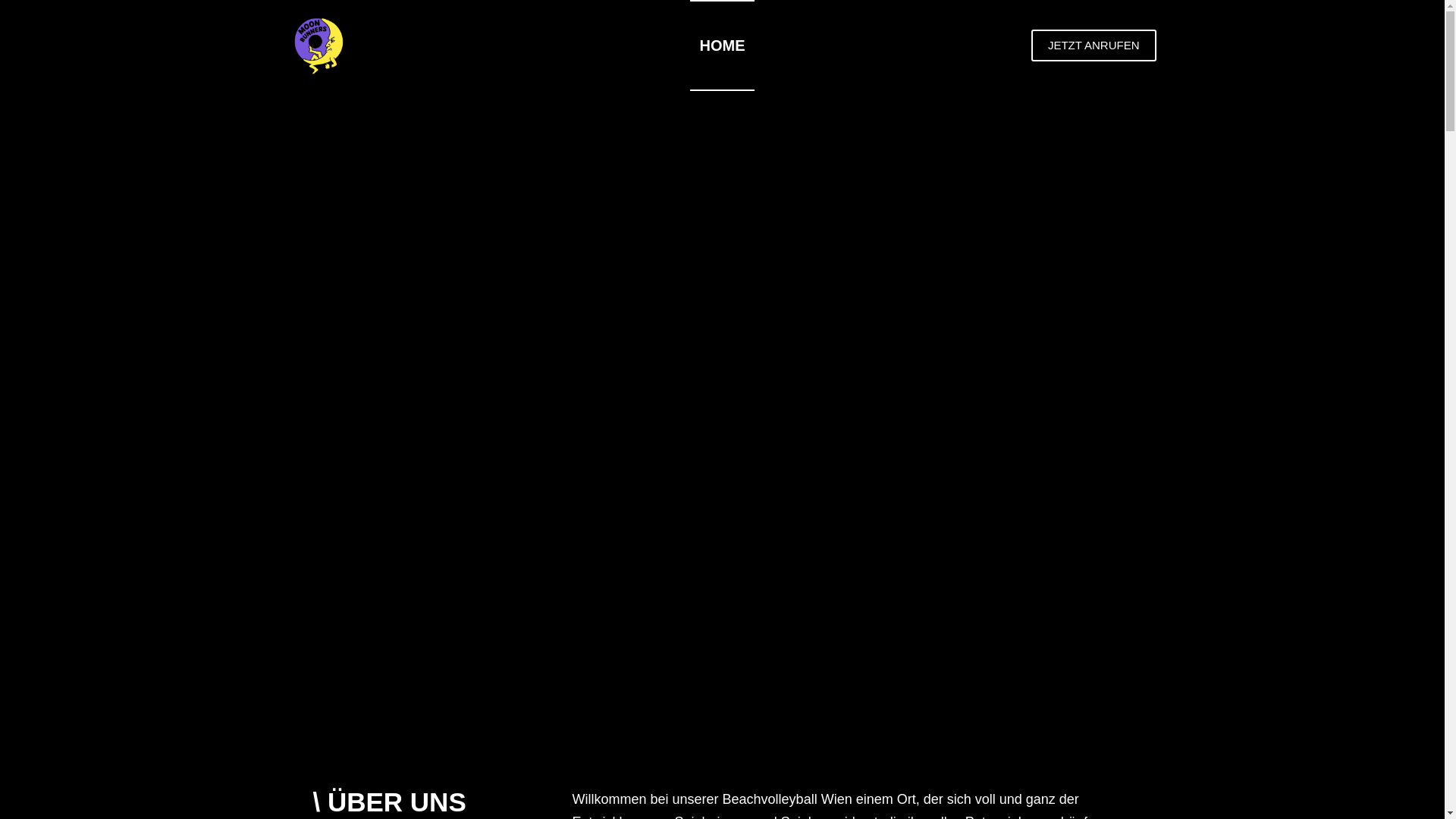 website screenshot of https://beachvolleyball-wien.at/