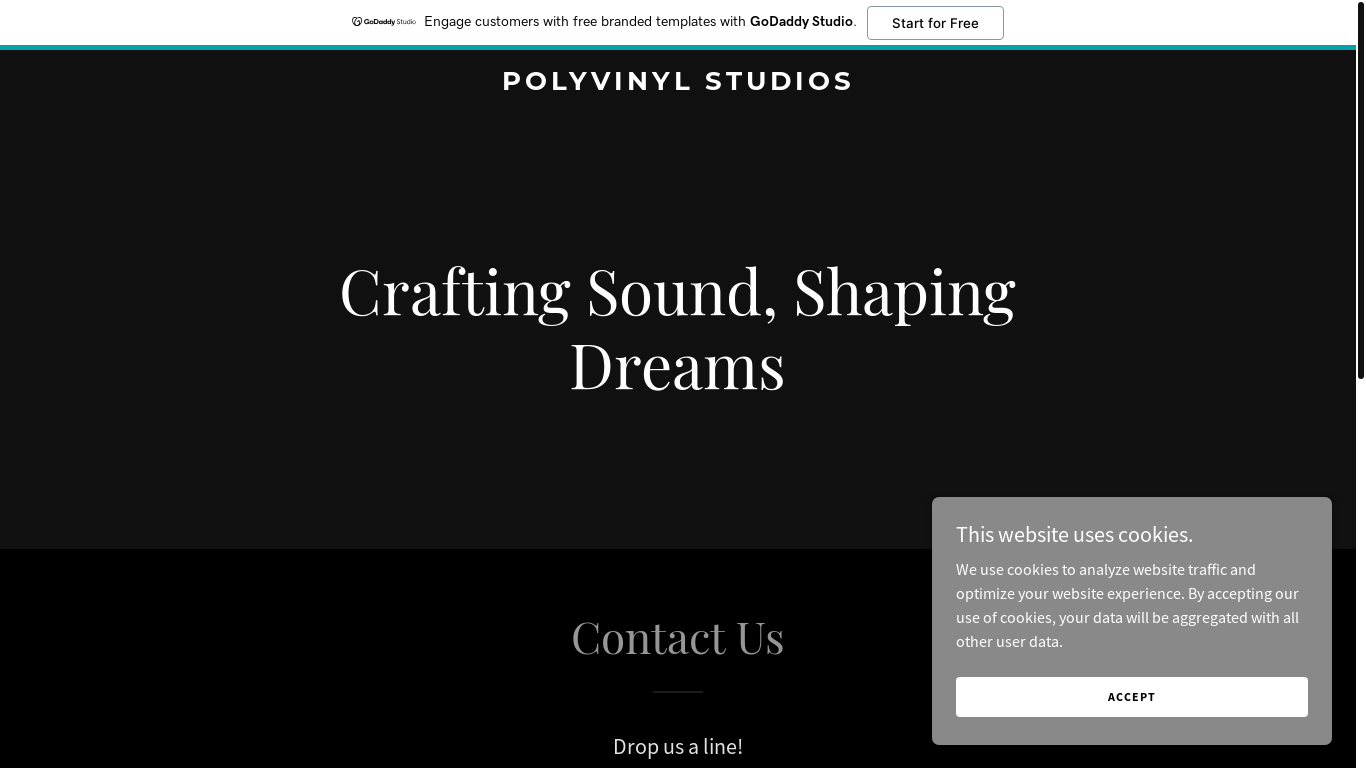 website screenshot of https://polyvinylstudios.com/