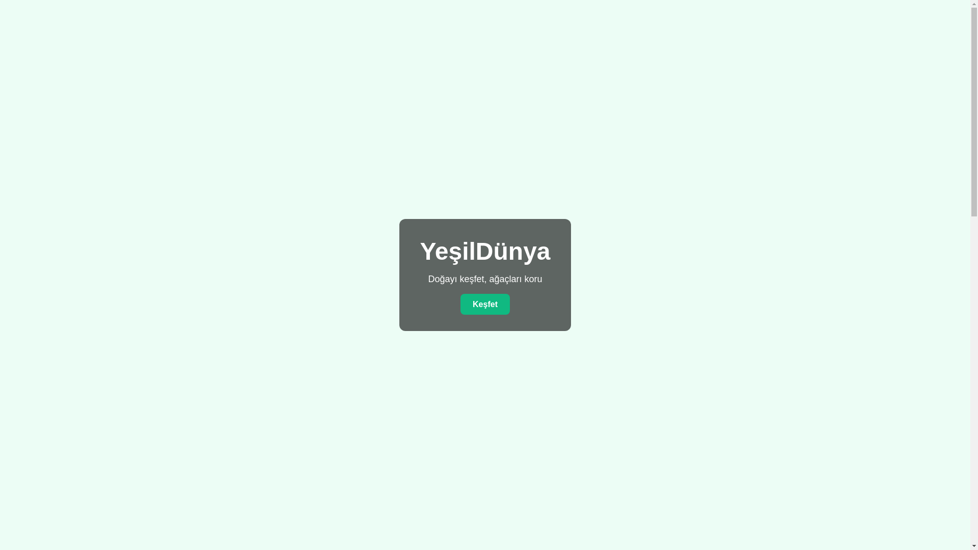 website screenshot of https://yeniyesilagaclar.com/