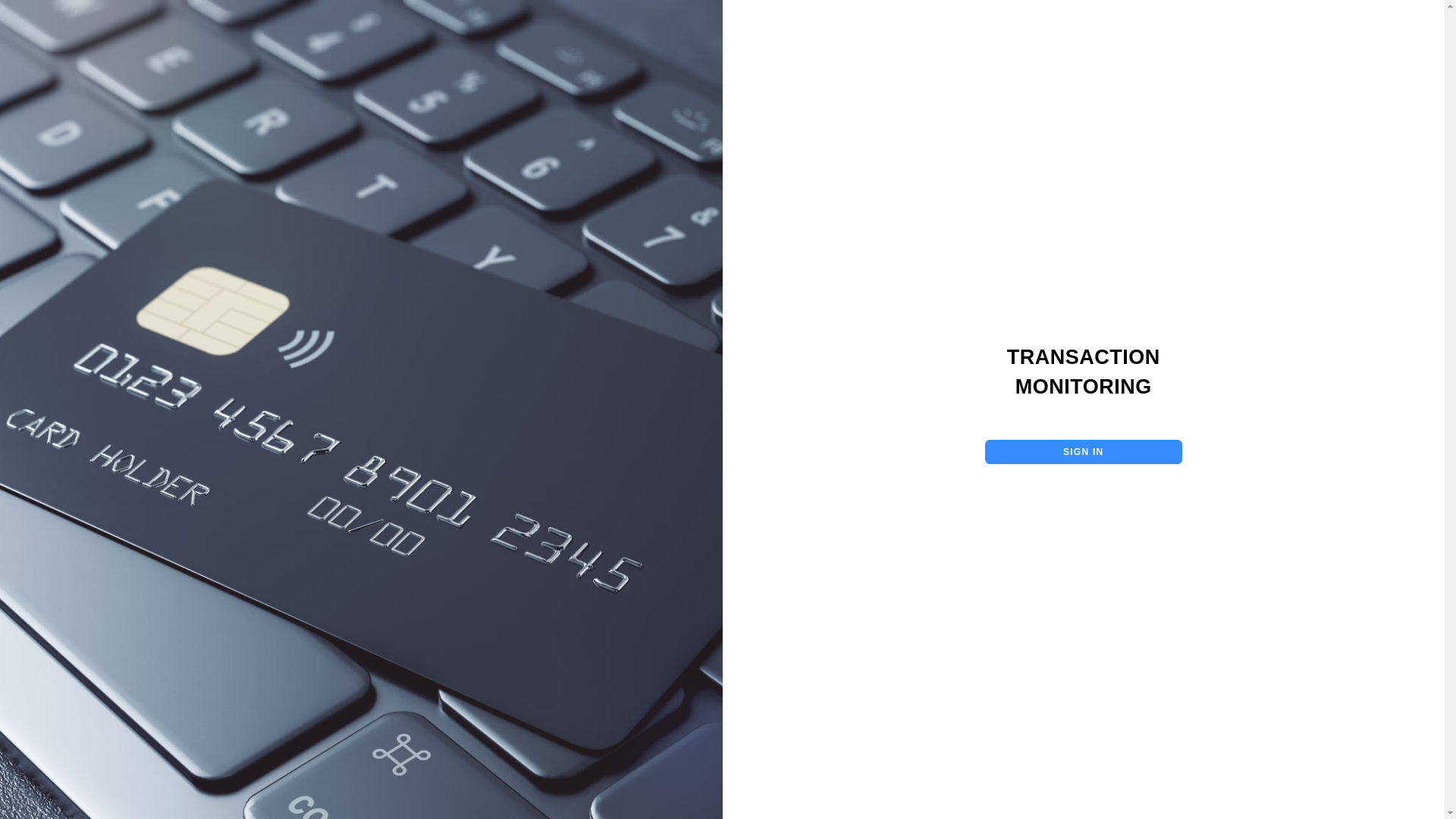 website screenshot of https://transaction-monitoring-design.pages.dev/