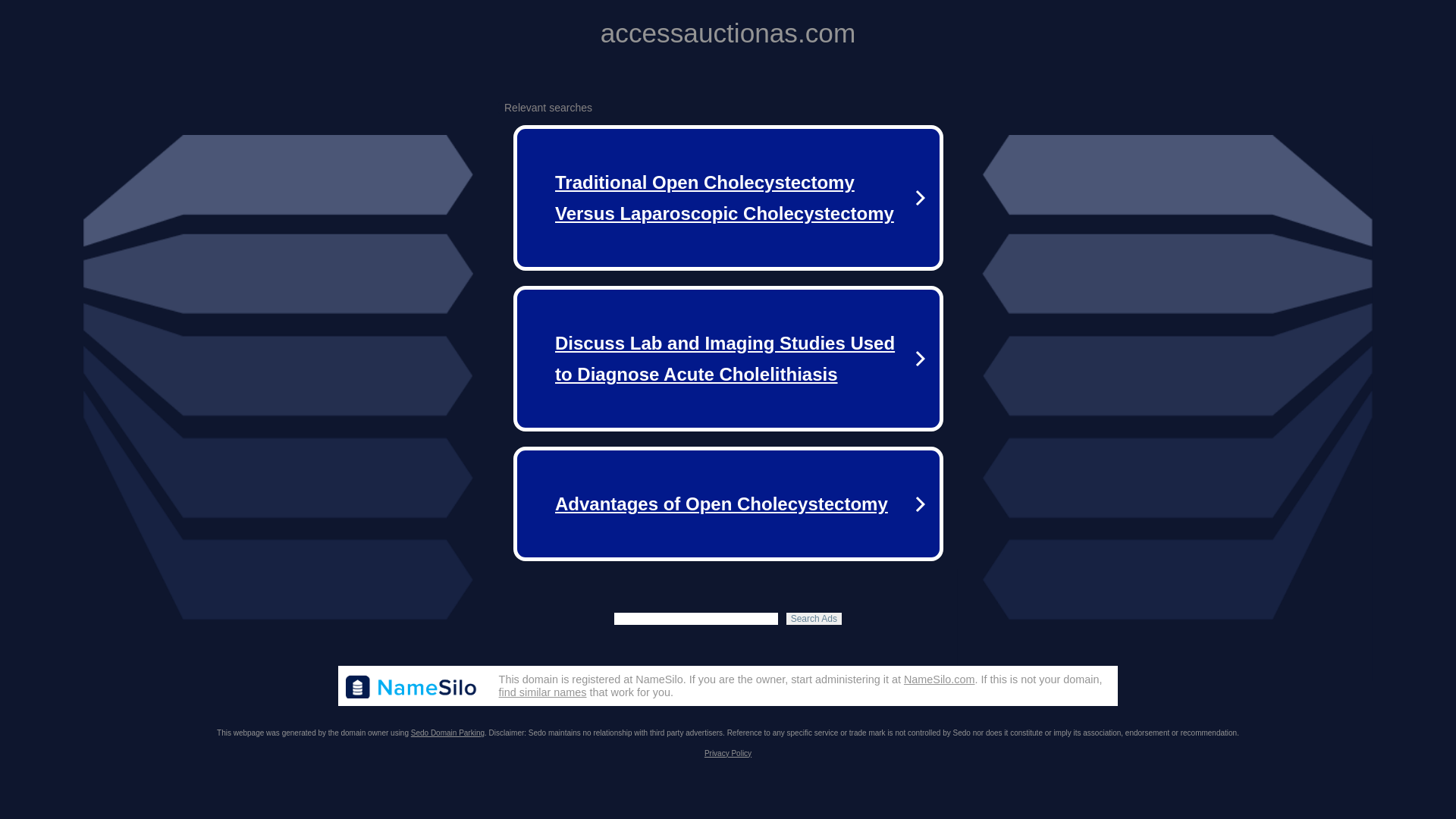 website screenshot of https://accessauctionas.com/