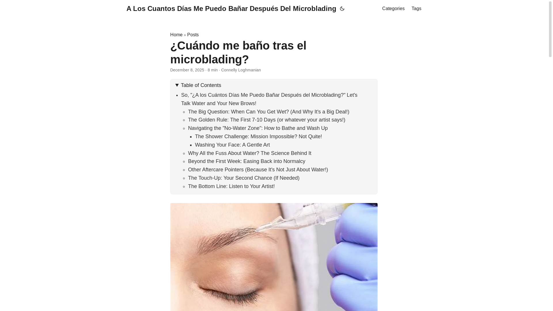 website screenshot of https://aloscuantosdasmepuedobaardespusdelmicroblading3.pages.dev/