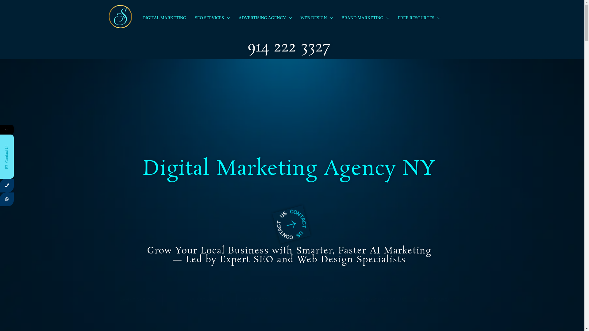 website screenshot of https://shineonlocalmarketing.com/