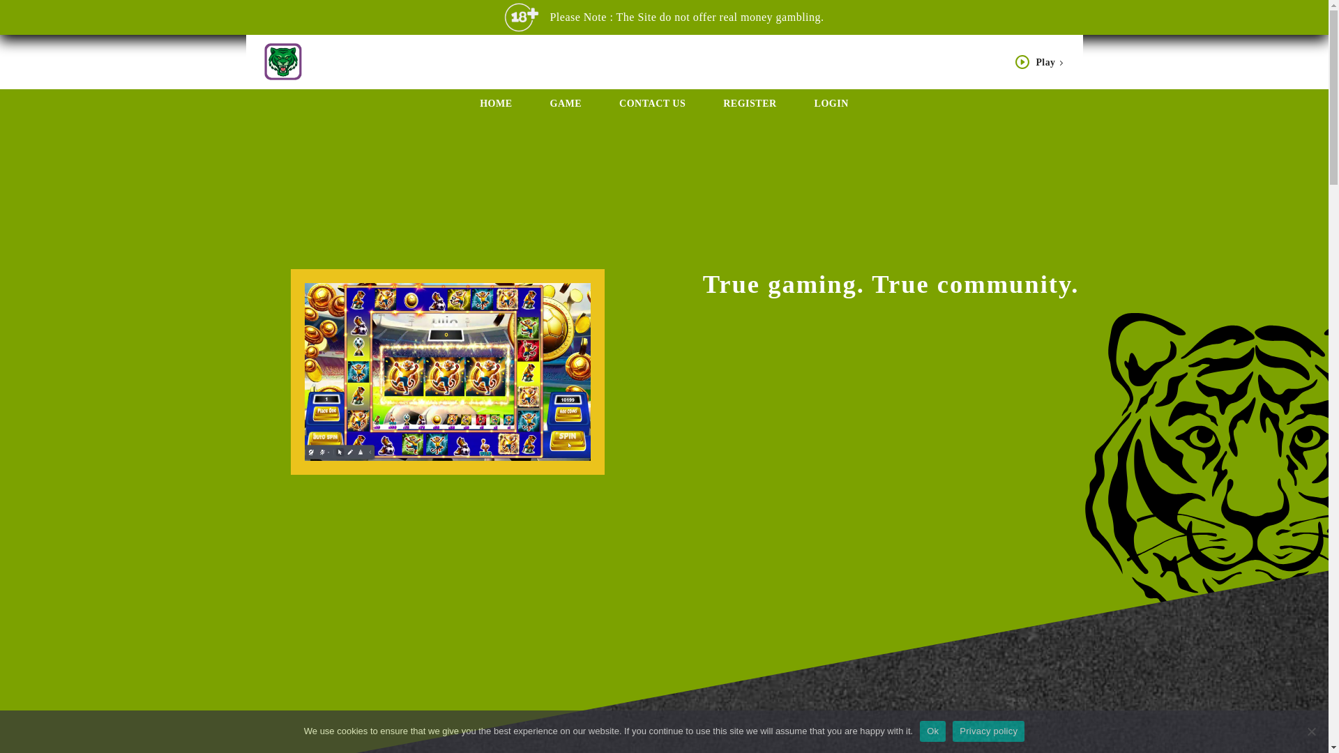 website screenshot of https://kicktigersfun.com/
