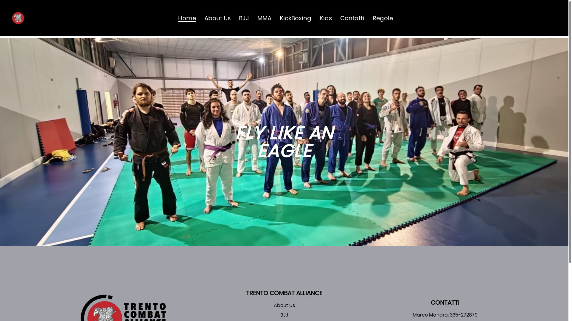 website screenshot of https://trentocombatalliance.net/