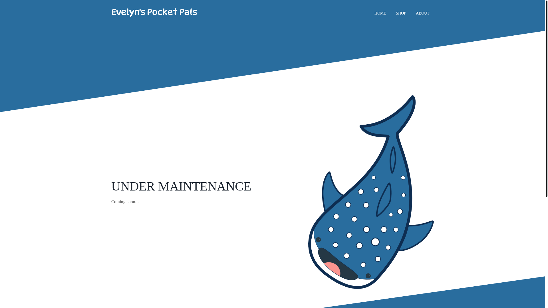 website screenshot of https://evelynspocketpals.co.uk/