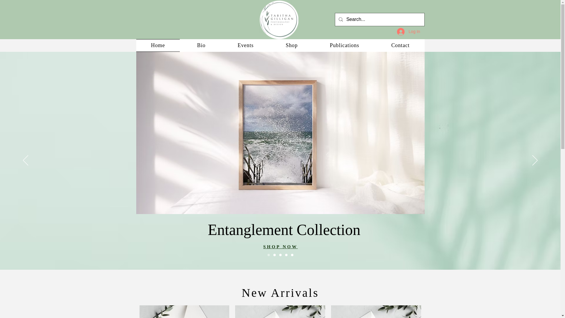 website screenshot of https://tabithagilliganphotography.com/