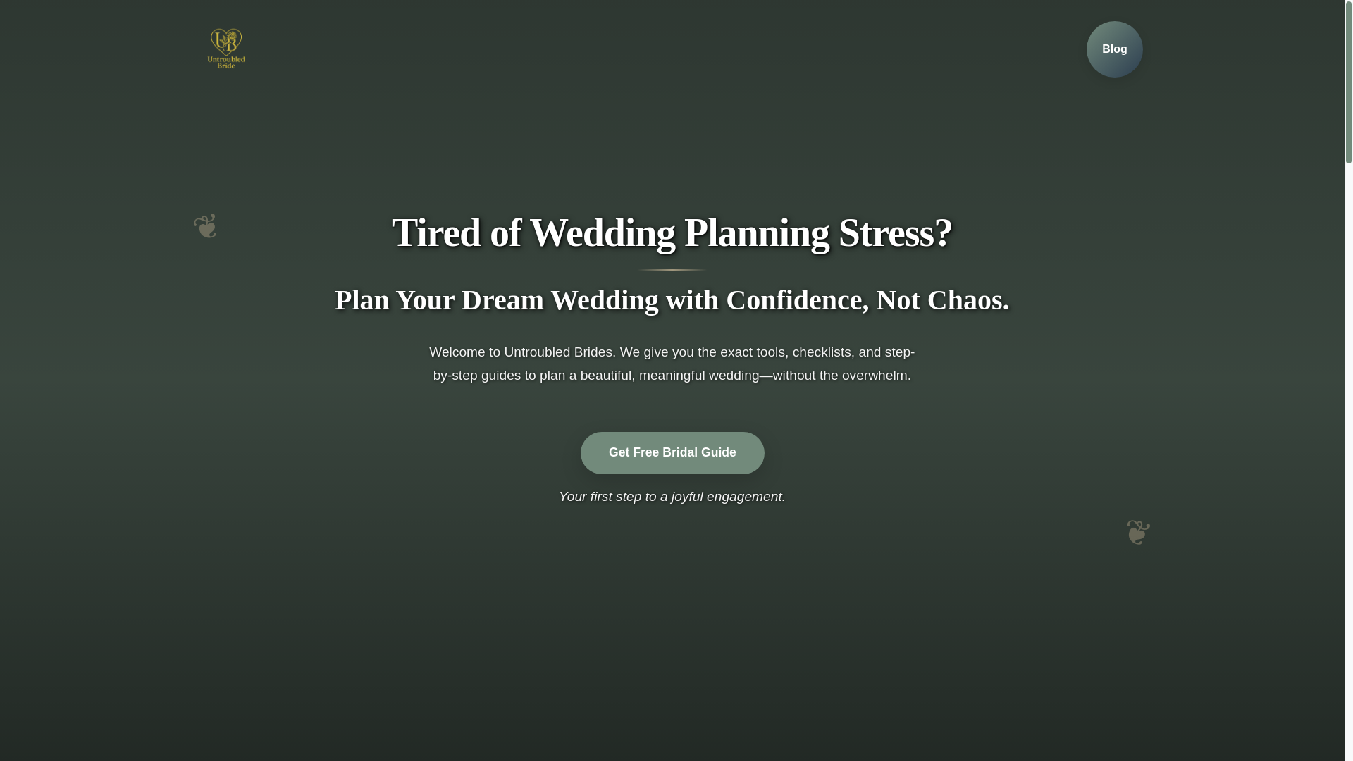 website screenshot of https://bridemainsite.pages.dev/