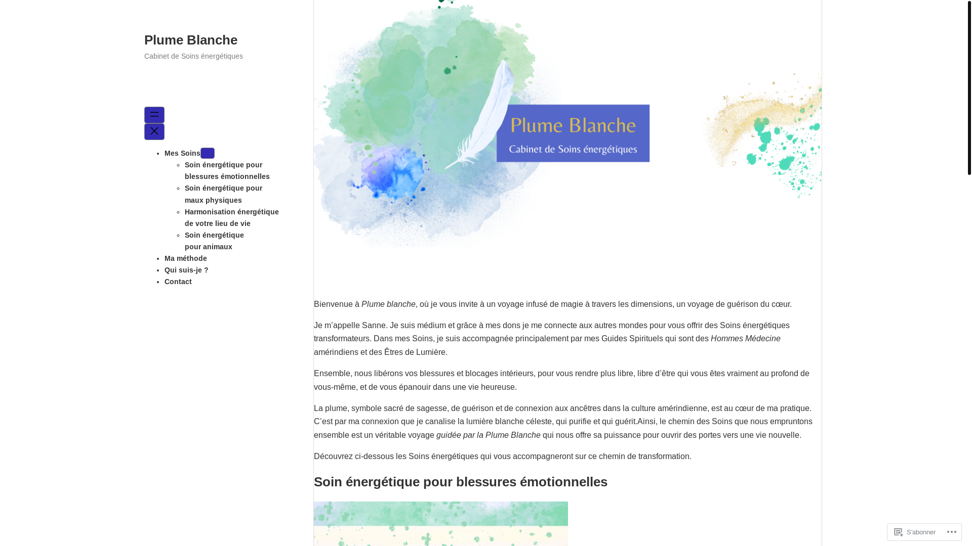website screenshot of https://plumeblanchesoins.fr/