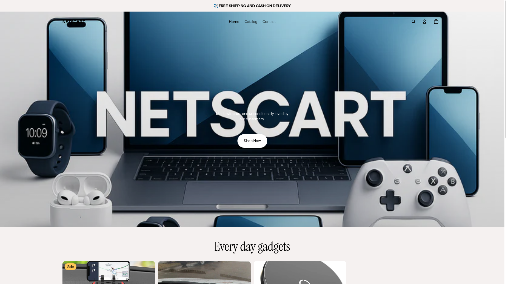 website screenshot of https://netscart.in/