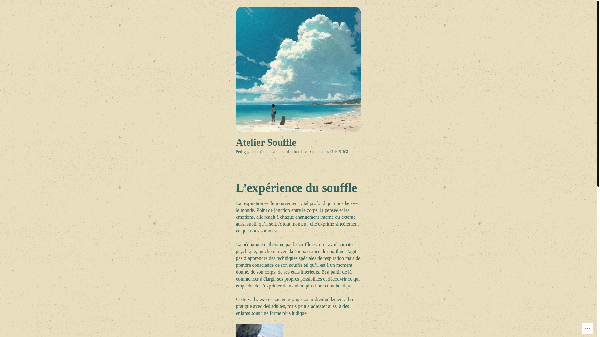 website screenshot of https://irisateliersouffle.com/