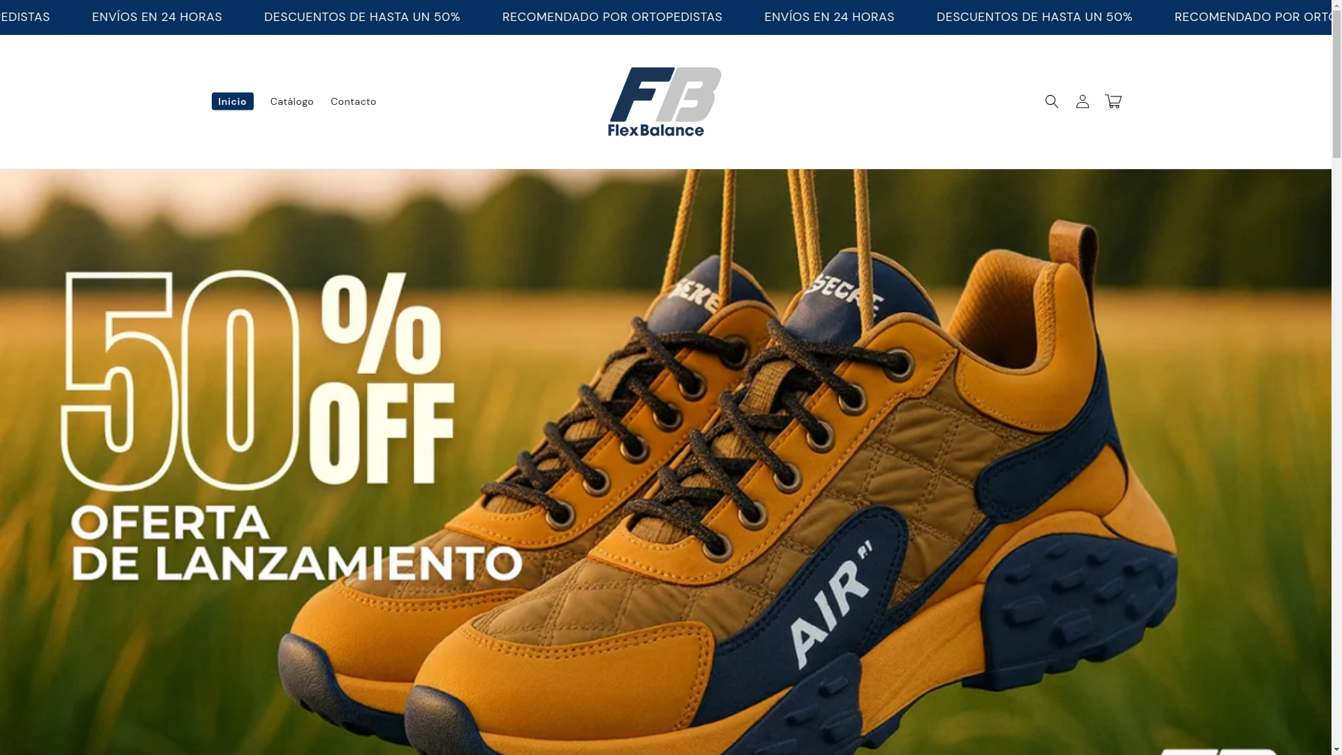 website screenshot of https://flexbalance.cl/