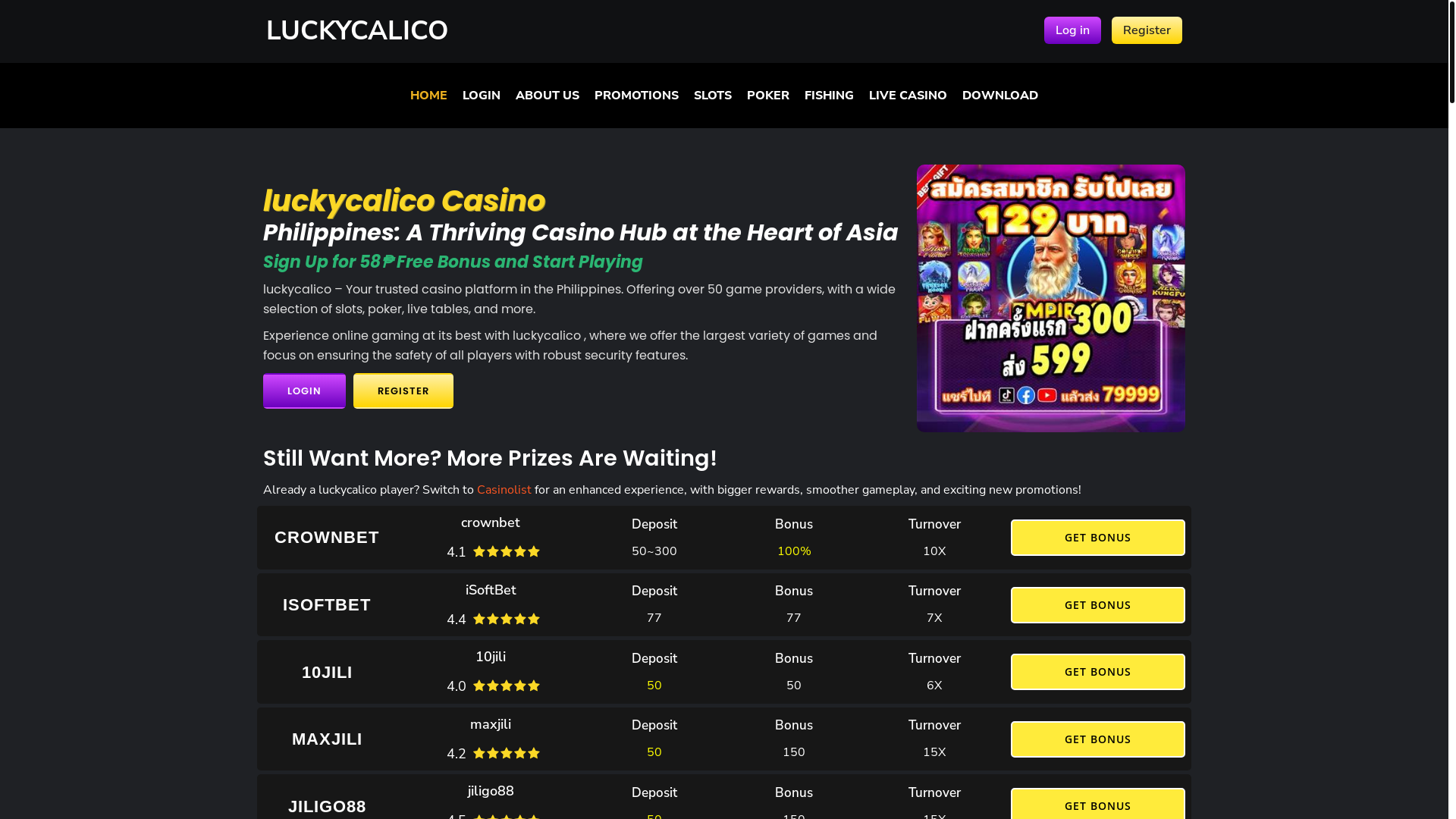 website screenshot of https://luckycalico.website/