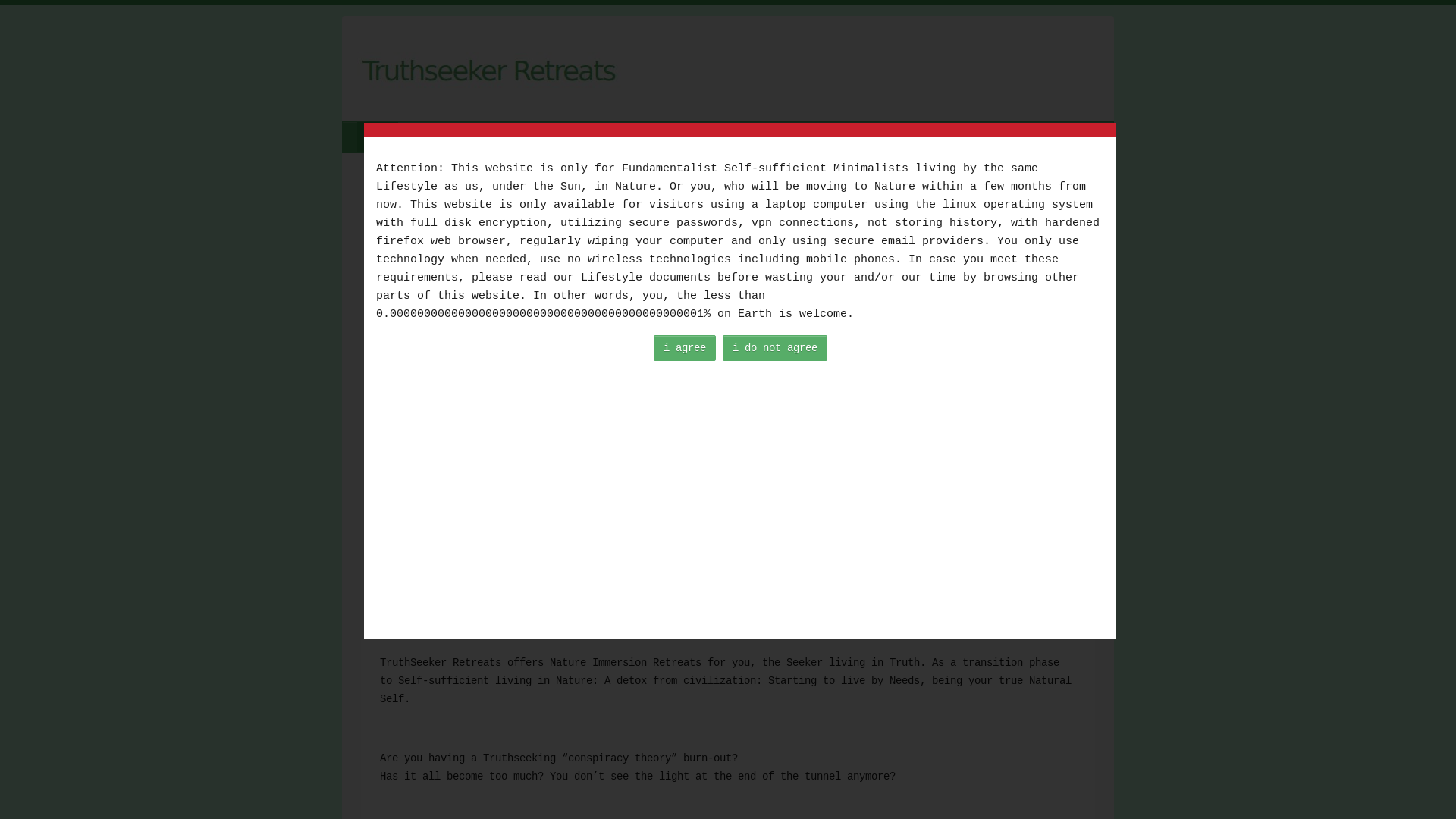 website screenshot of https://truthseekerretreats.com/