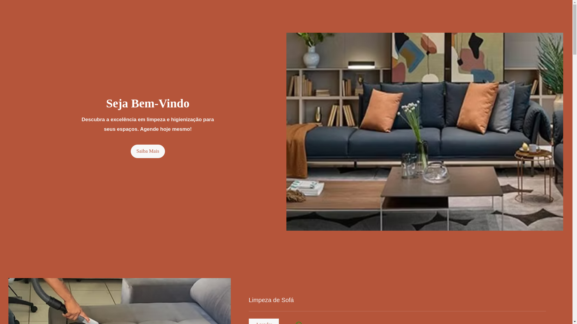 website screenshot of https://shinelimpezarv.com/