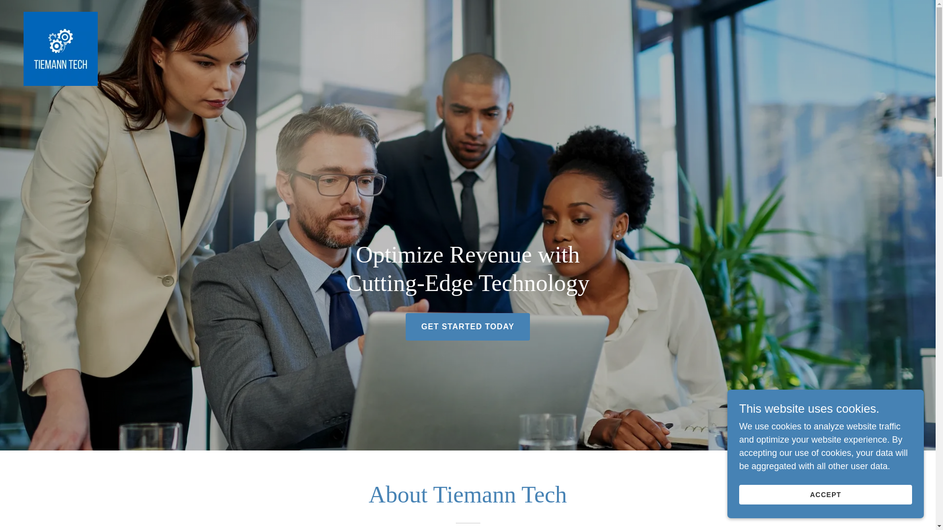 website screenshot of https://tiemanntech.com/