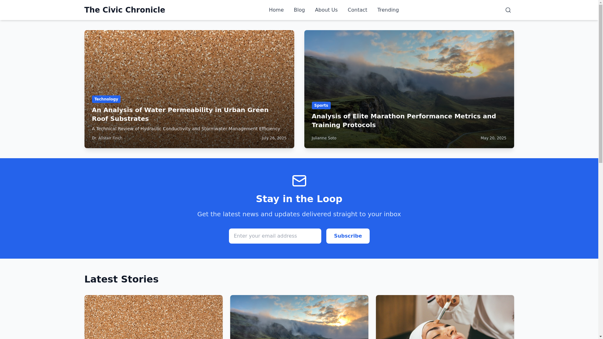 website screenshot of https://thecivicchronicle.com/