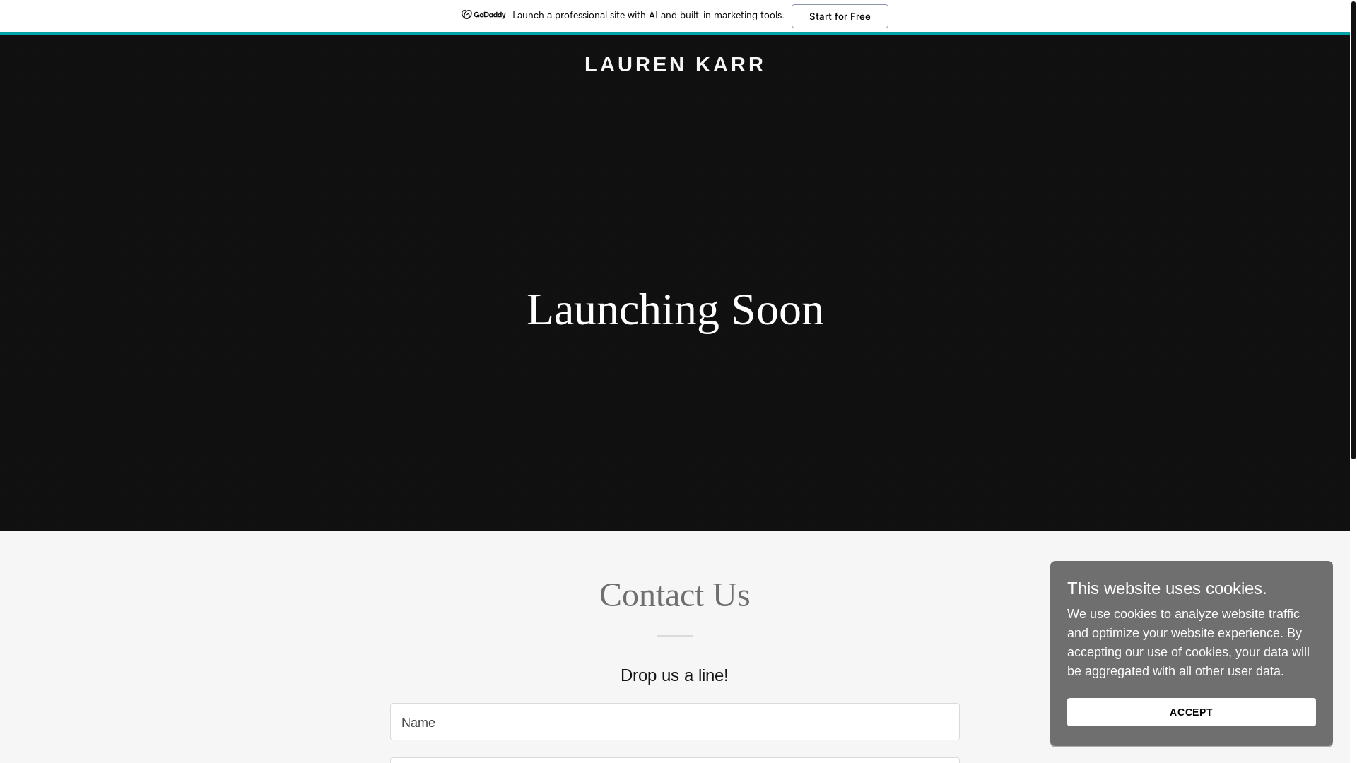 website screenshot of https://laurenkarr.net/