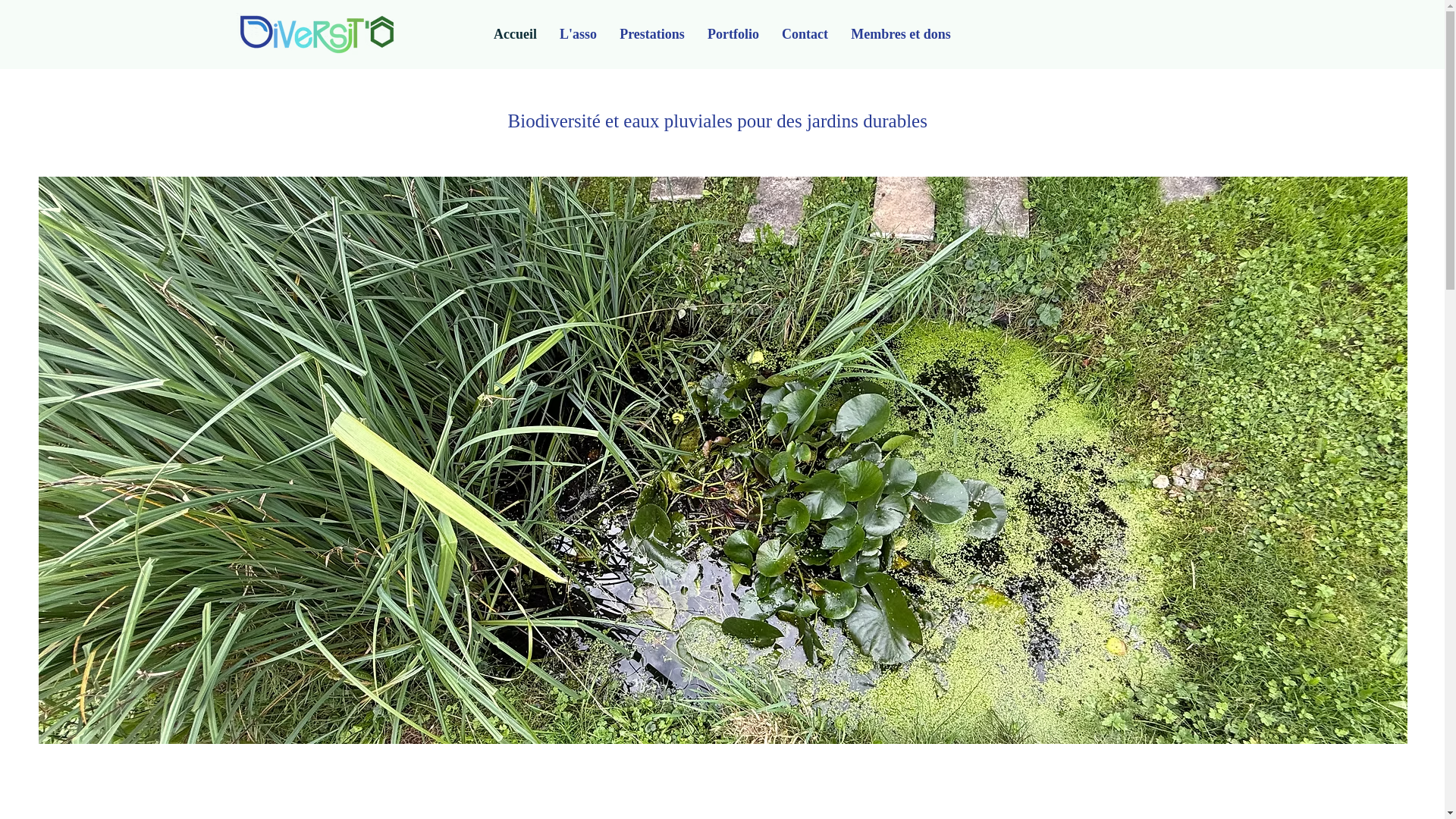 website screenshot of https://diversito.ch/