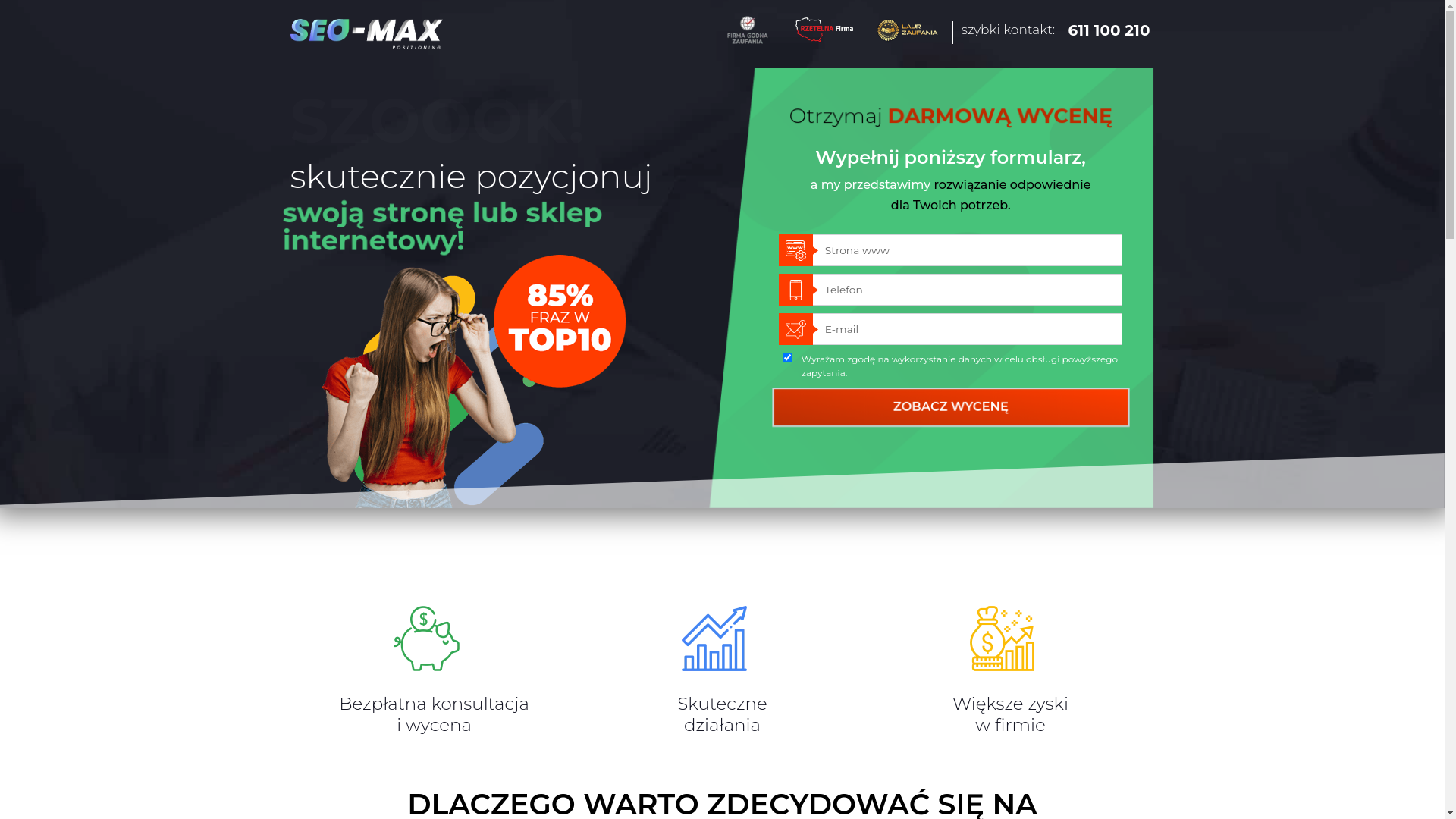website screenshot of https://pozycja24seo.pl/