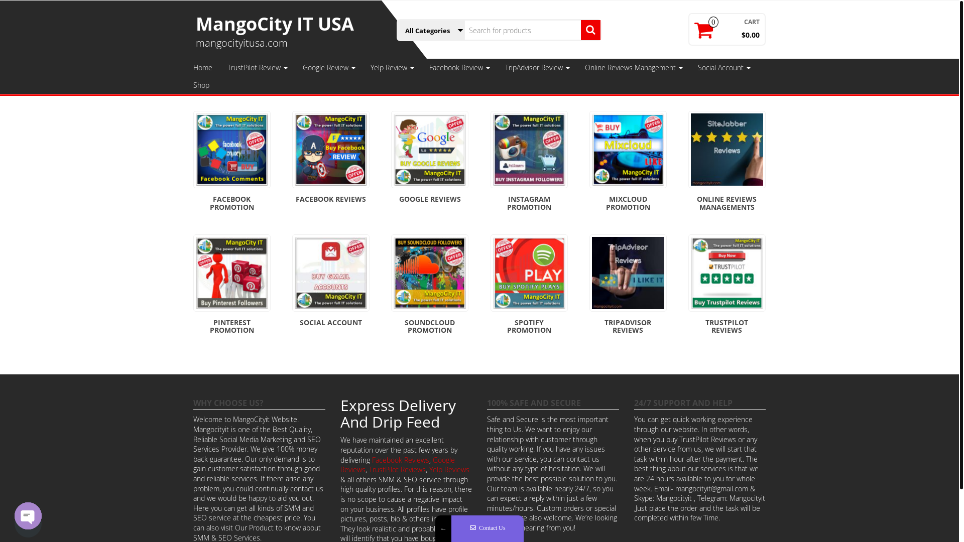 website screenshot of https://mangocityitusa.com/