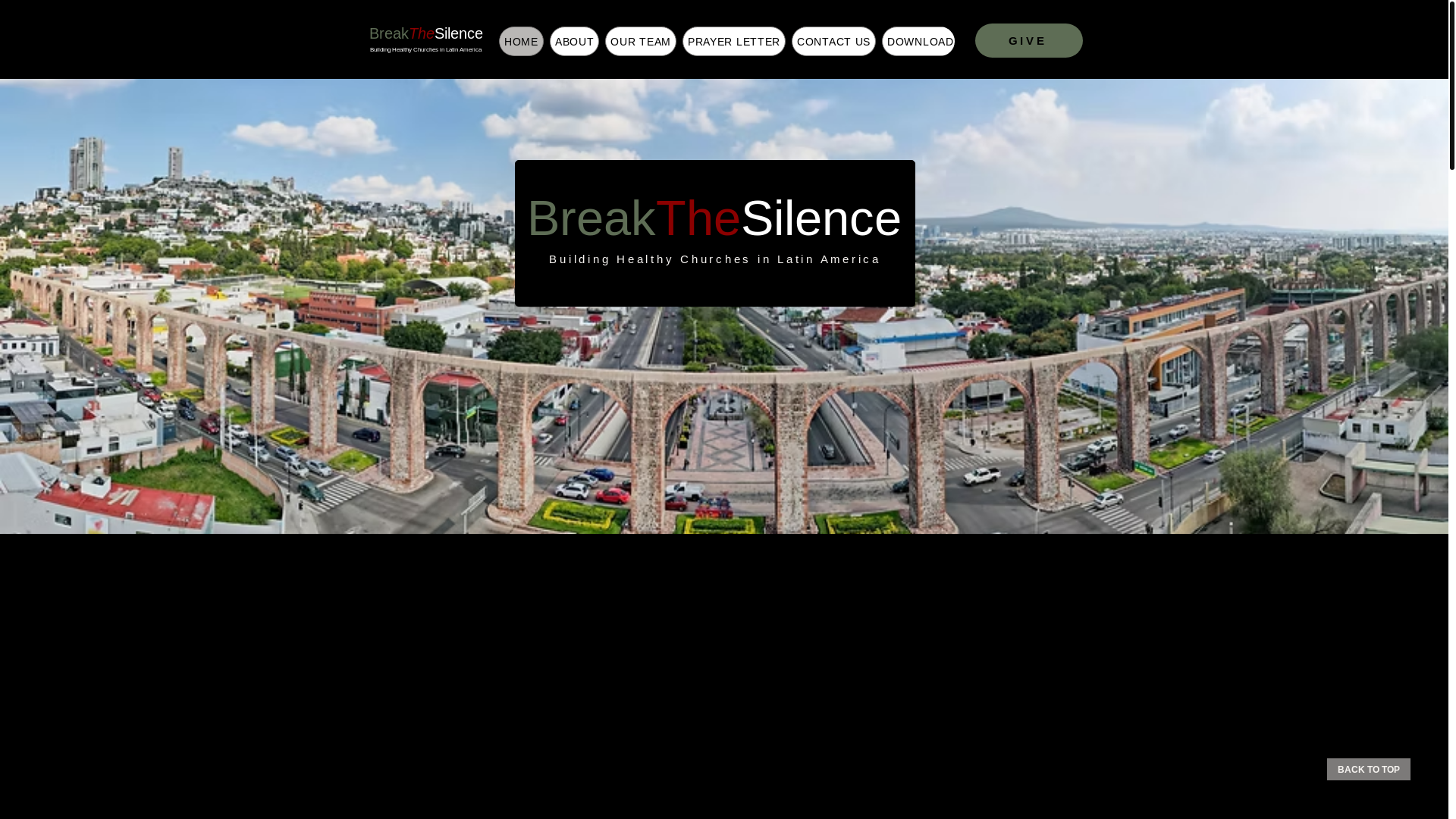 website screenshot of https://schroederstomexico.com/