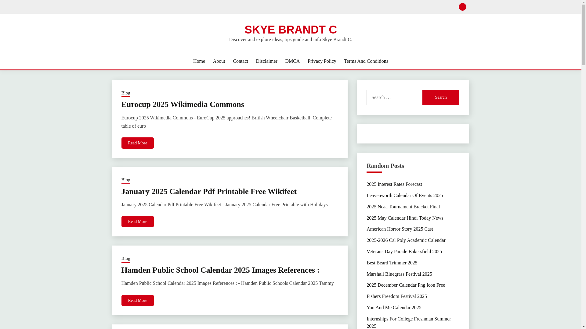 website screenshot of https://skyebrandtc.pages.dev/
