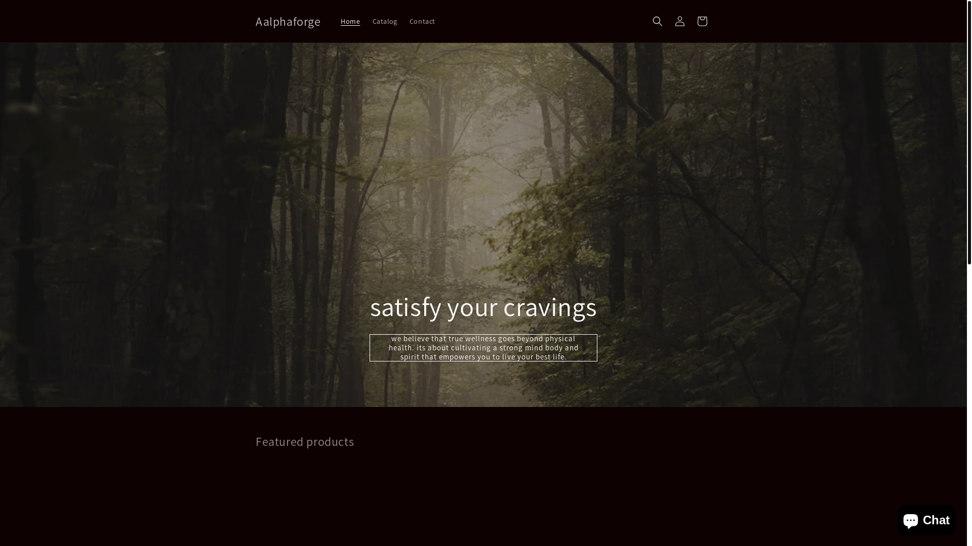 website screenshot of https://n0guidance.store/
