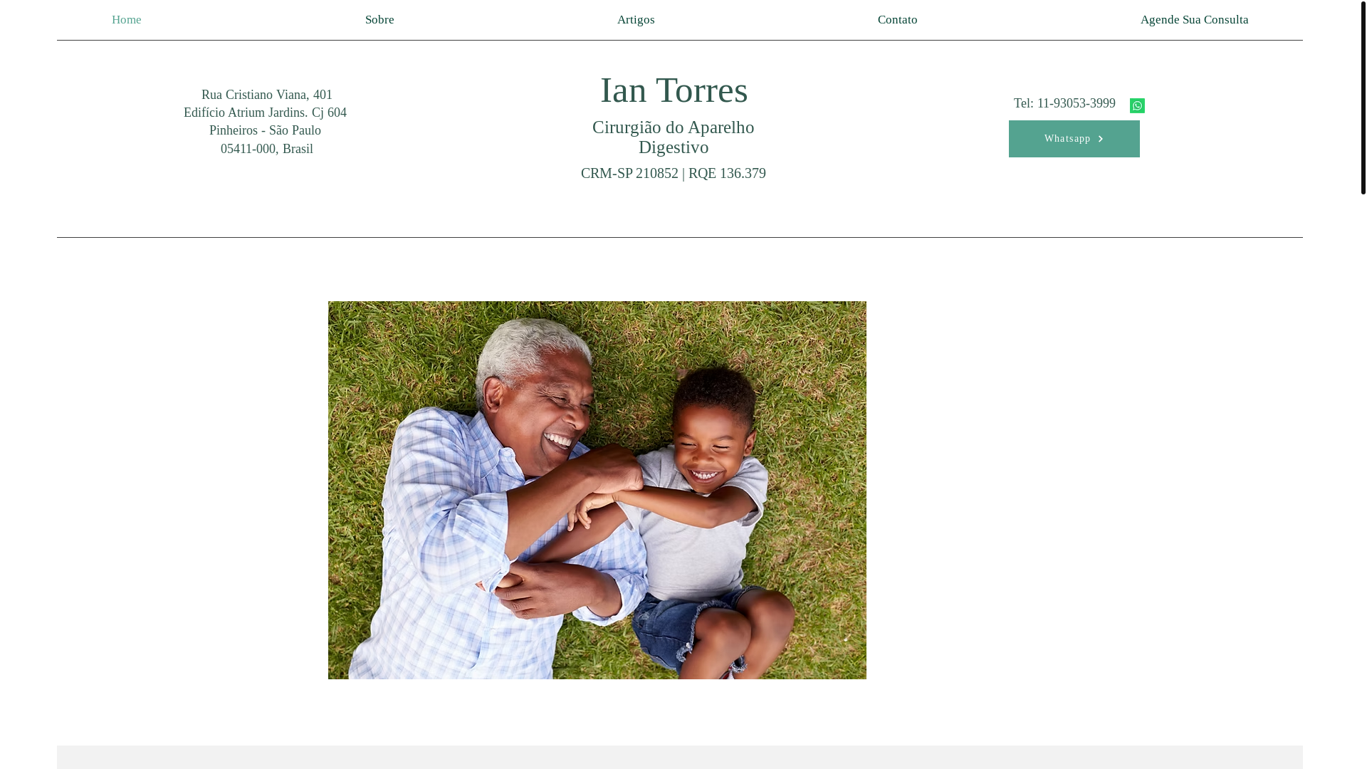 website screenshot of https://iantorres.com.br/