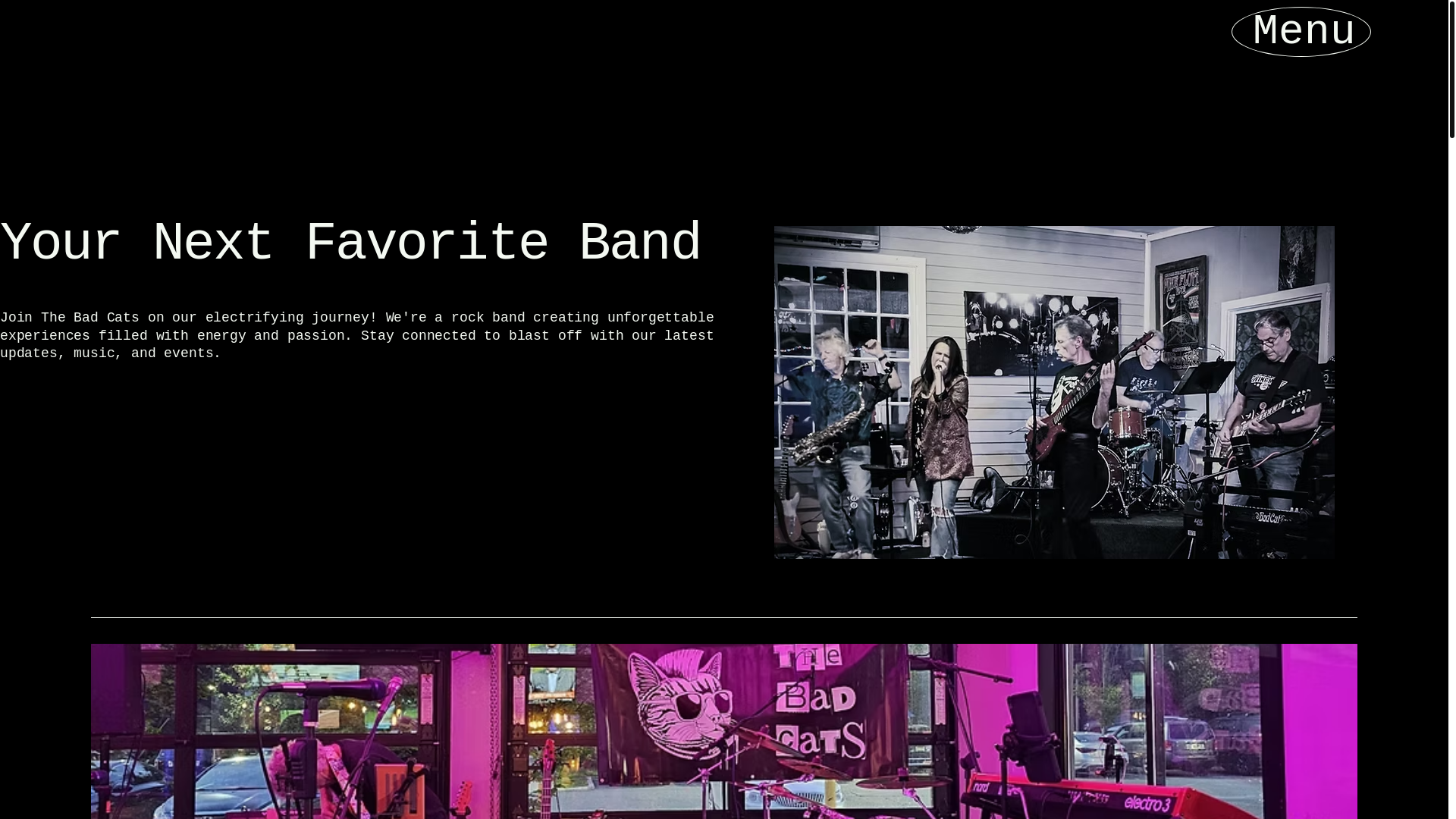 website screenshot of https://the-bad-cats.com/