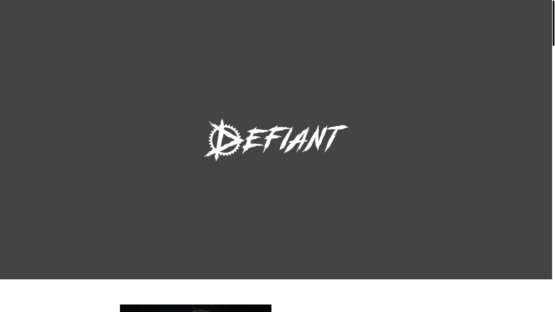 website screenshot of https://wearedefiant.nz/