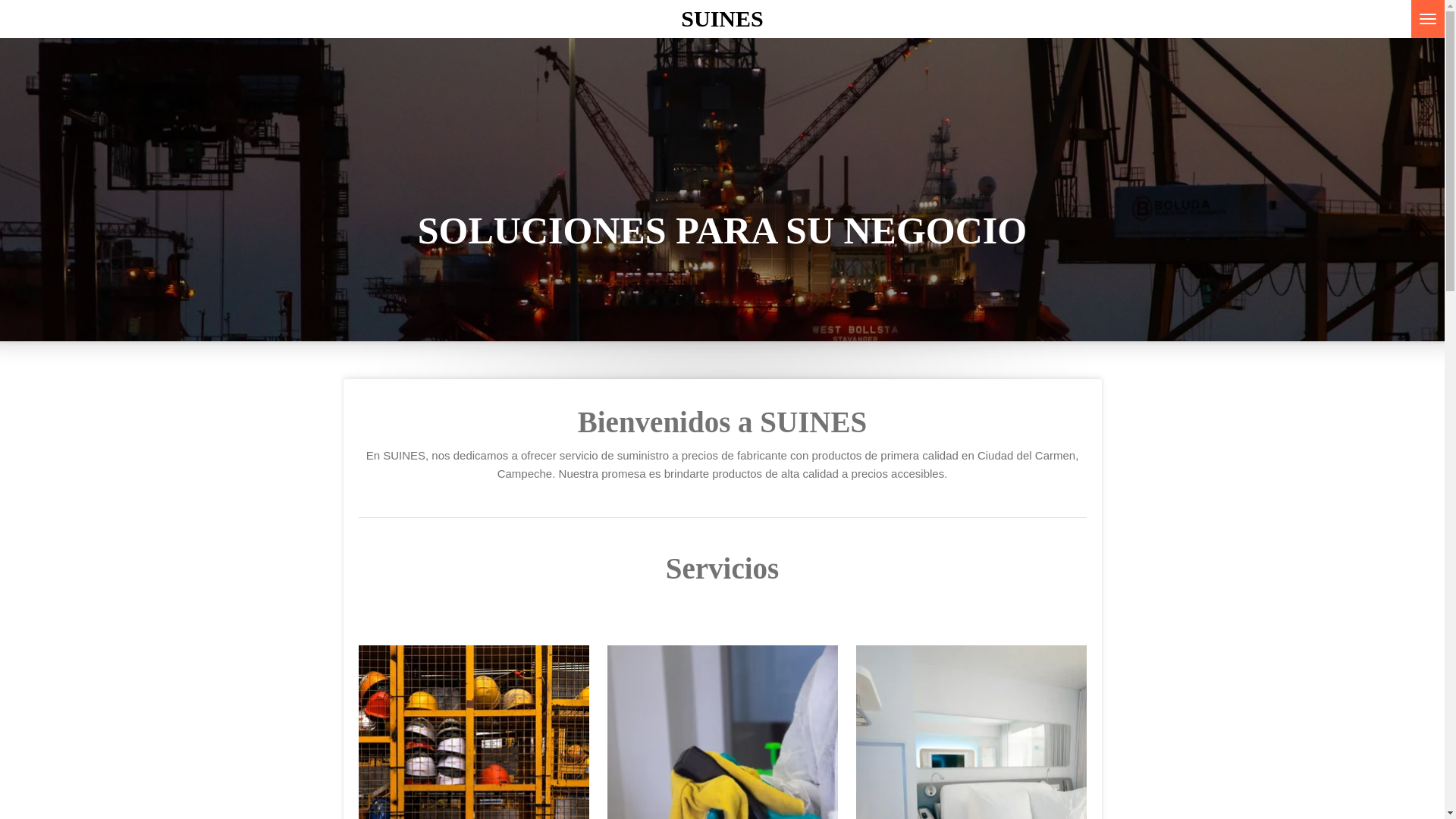 website screenshot of https://enesemarine.com/