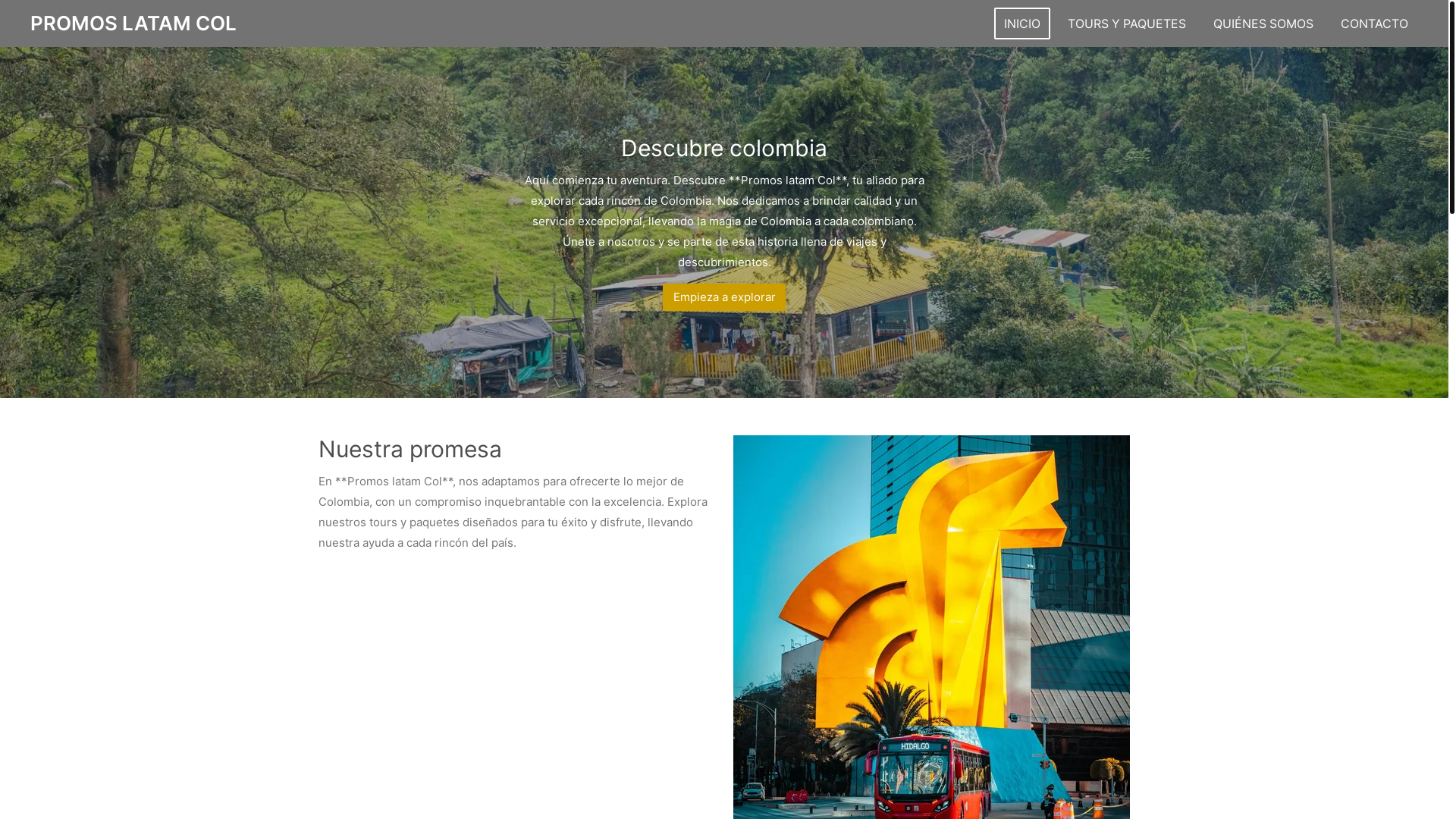website screenshot of https://promoslatamcol.com/