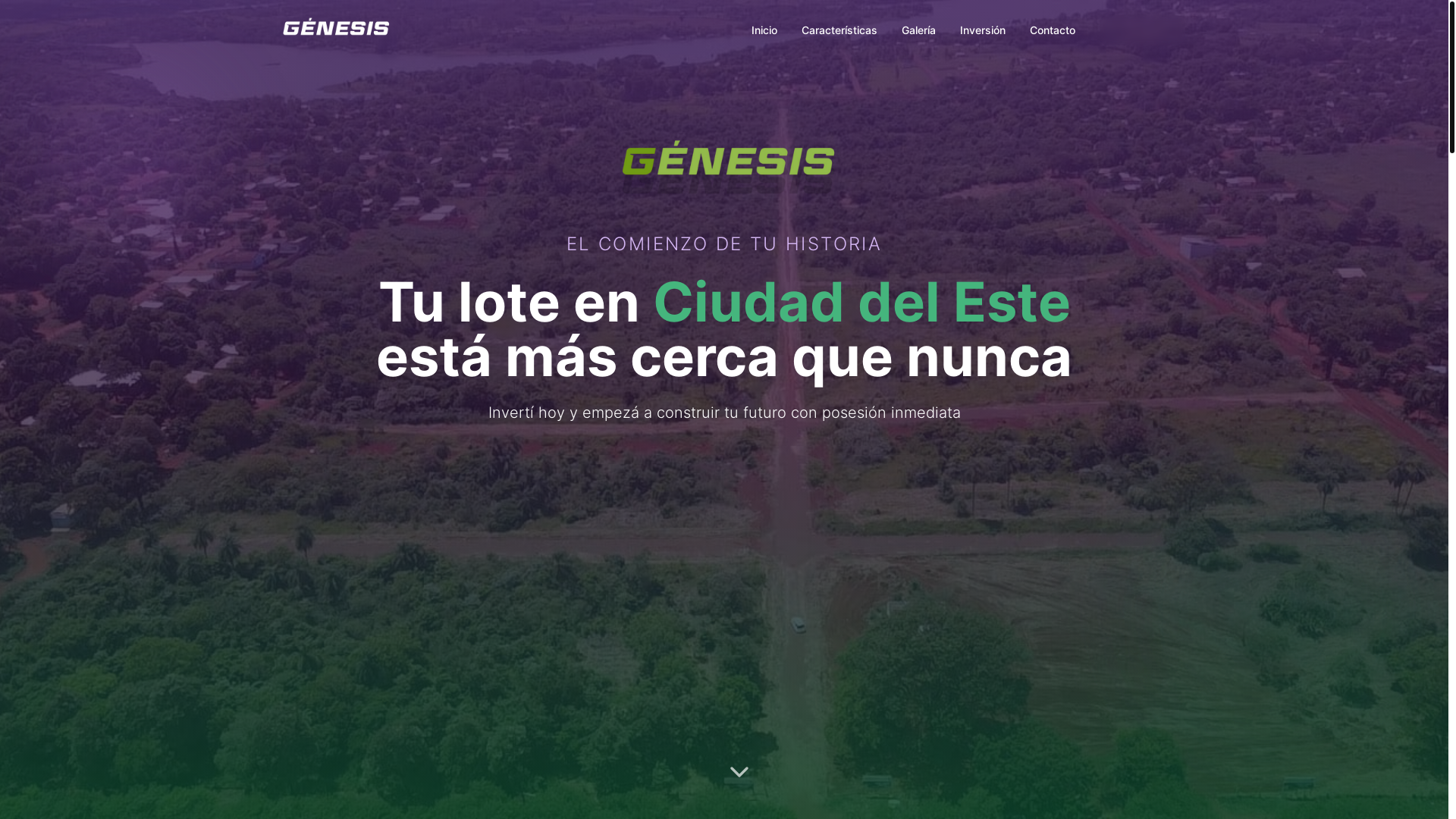 website screenshot of https://yanninabogarin.com.py/