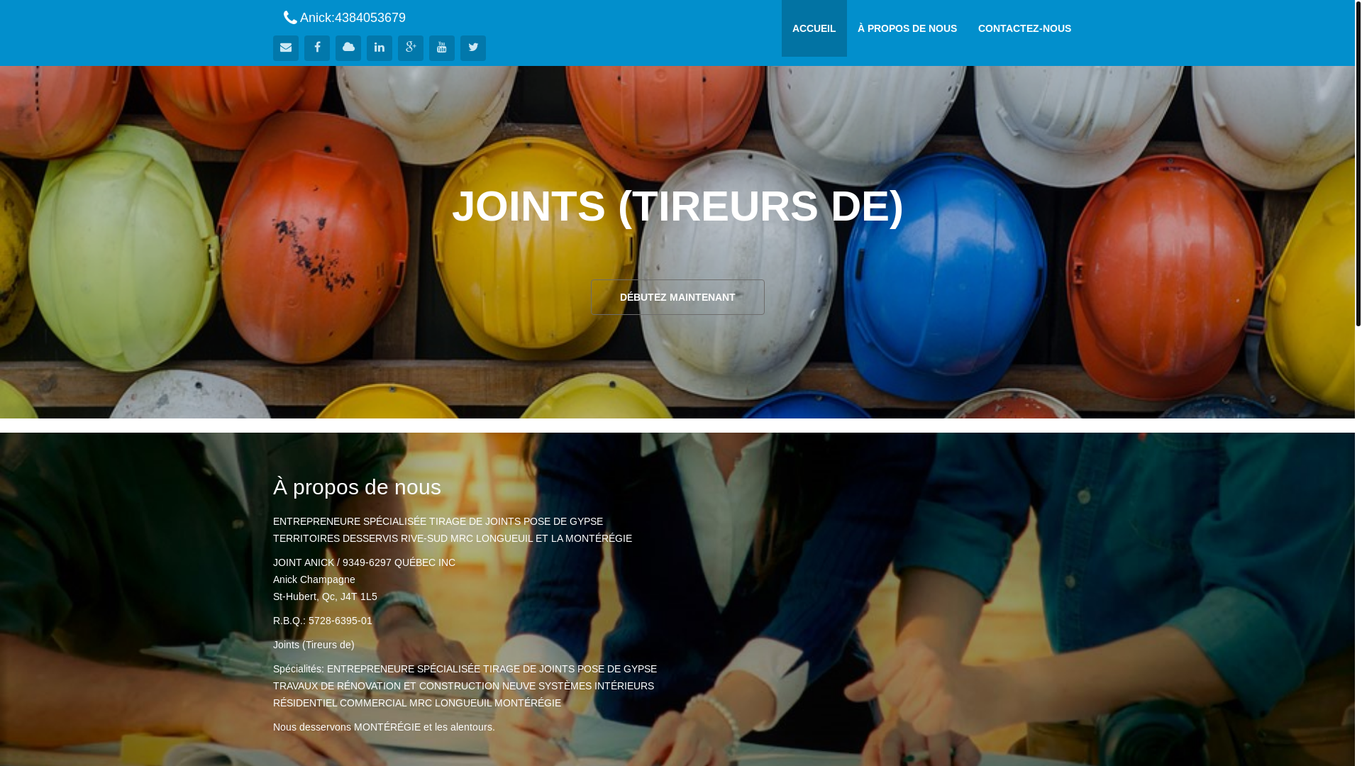 website screenshot of https://jointanick.com/