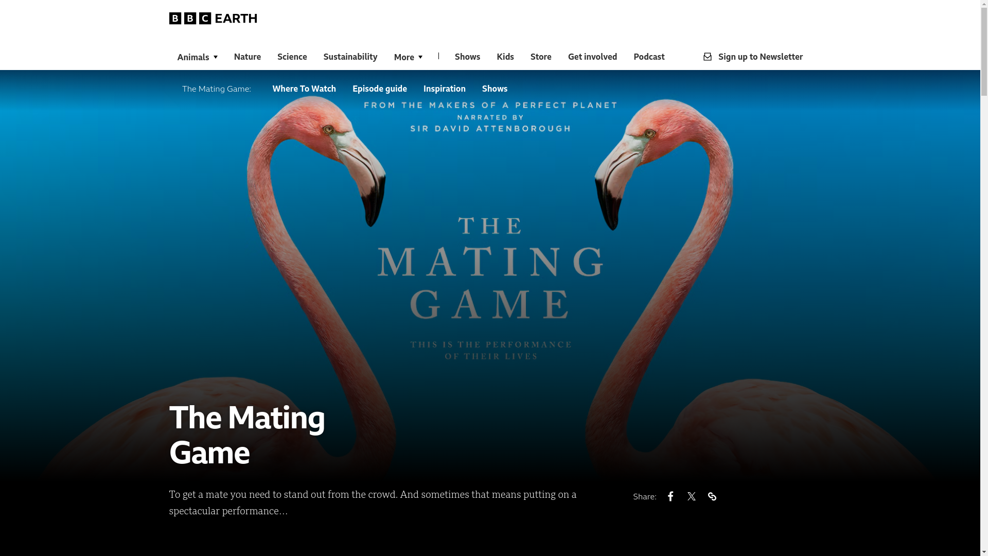 website screenshot of https://www.bbcearth.com/shows/the-mating-game