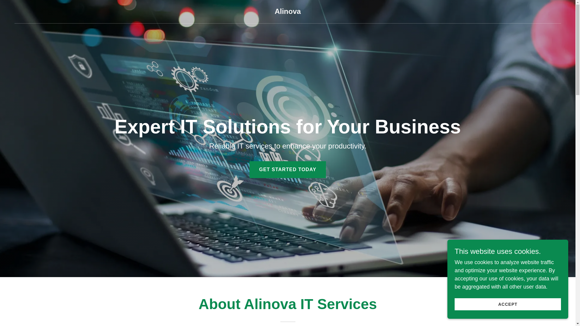website screenshot of https://alinova.info/