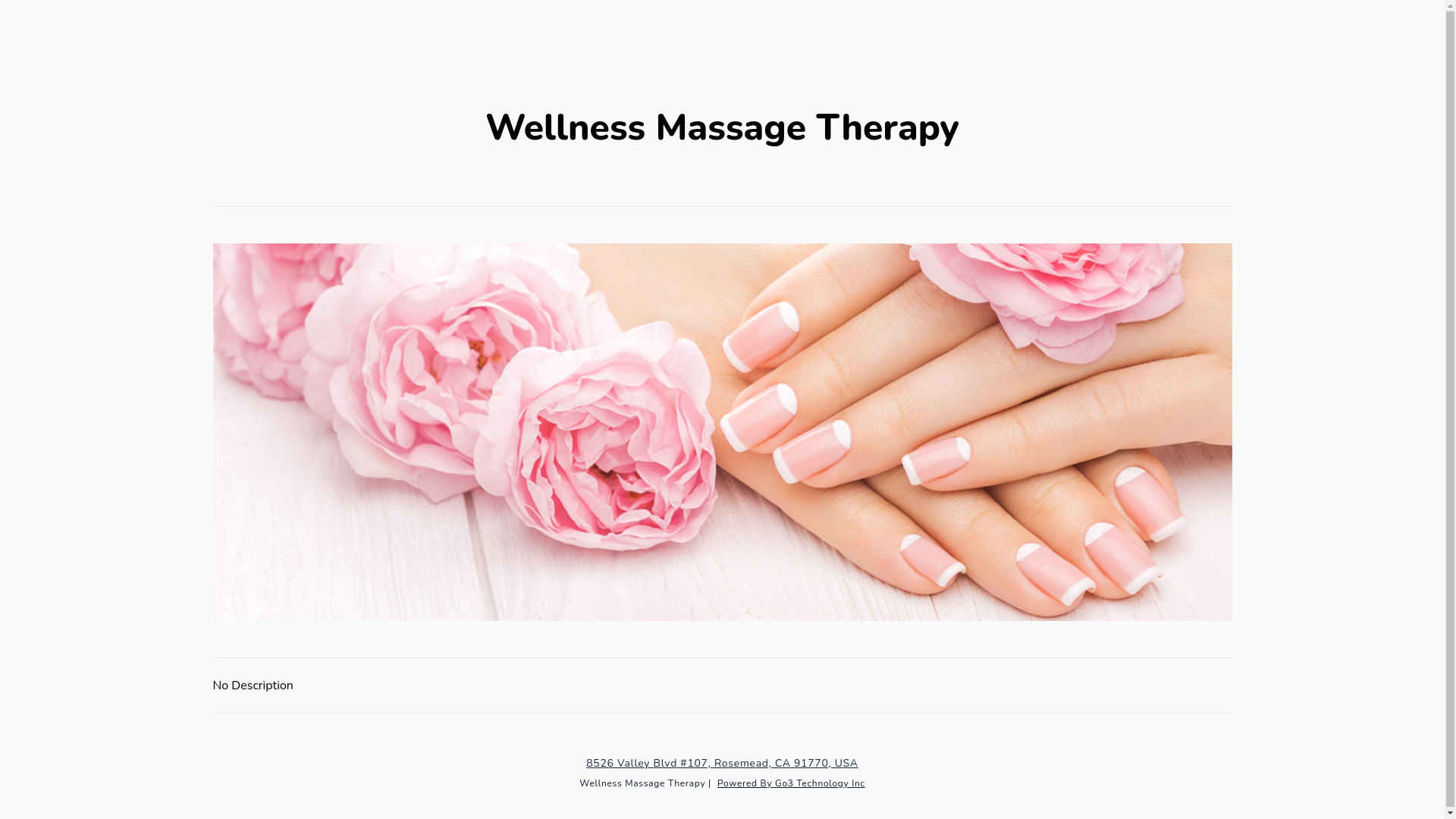 website screenshot of https://wellness-massagetherapy.com/