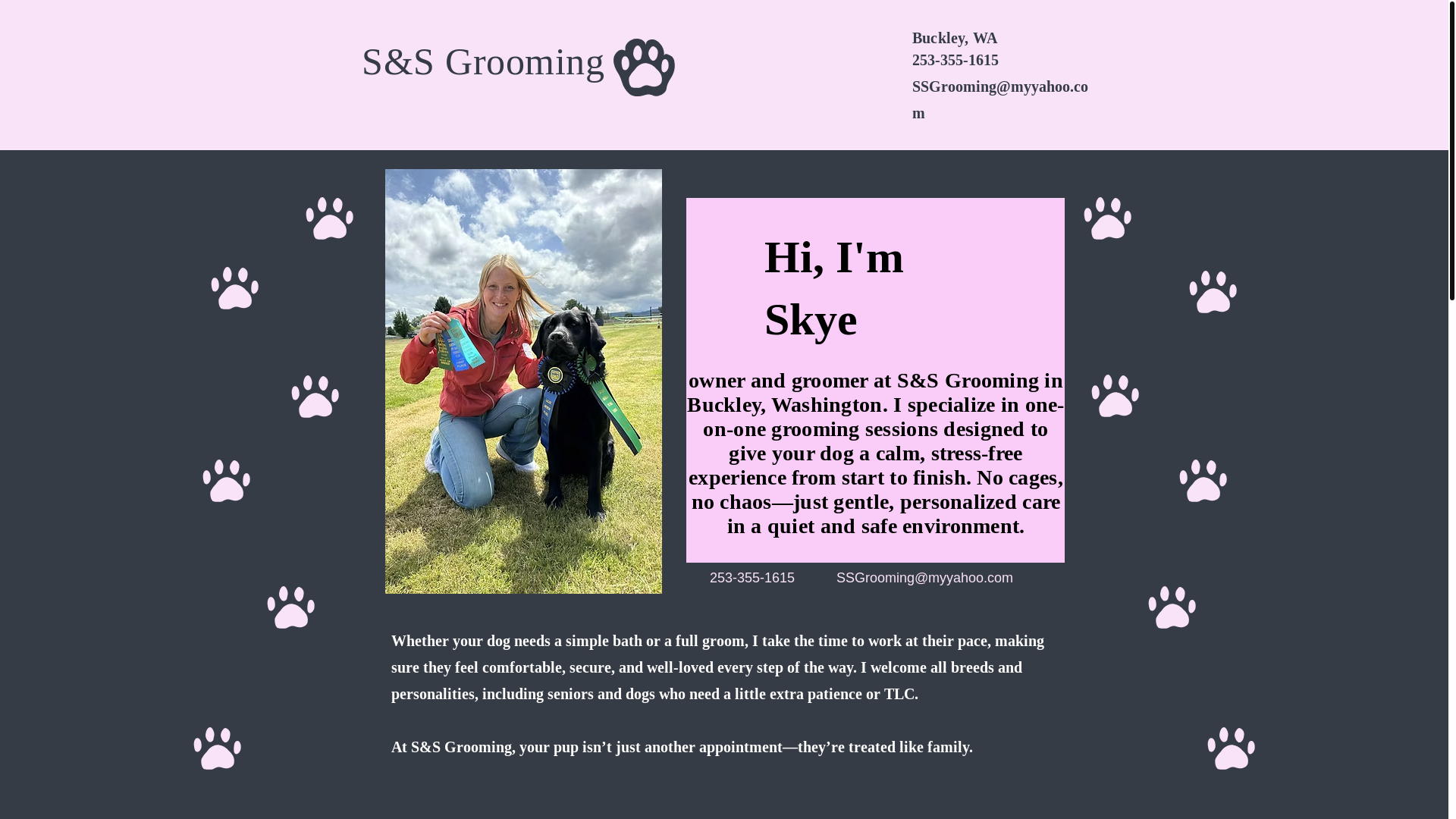 website screenshot of https://ssdoggrooming.com/