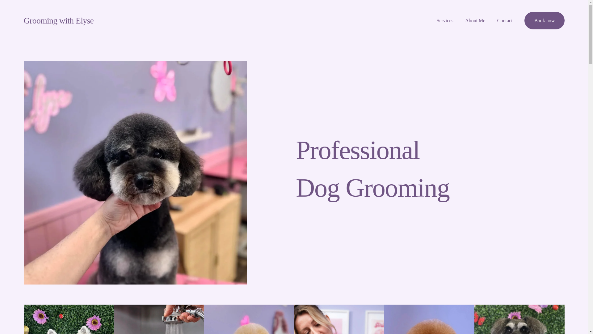 website screenshot of https://groomingwithelyse.com.au/