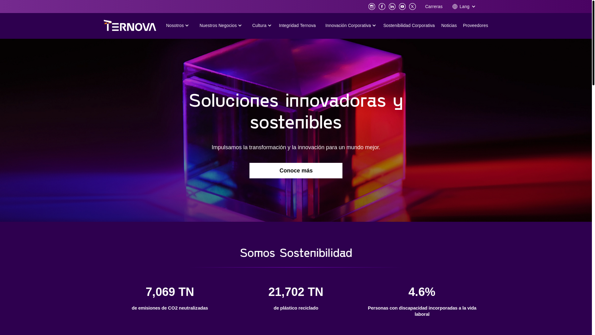 website screenshot of http://www.ternova.group/