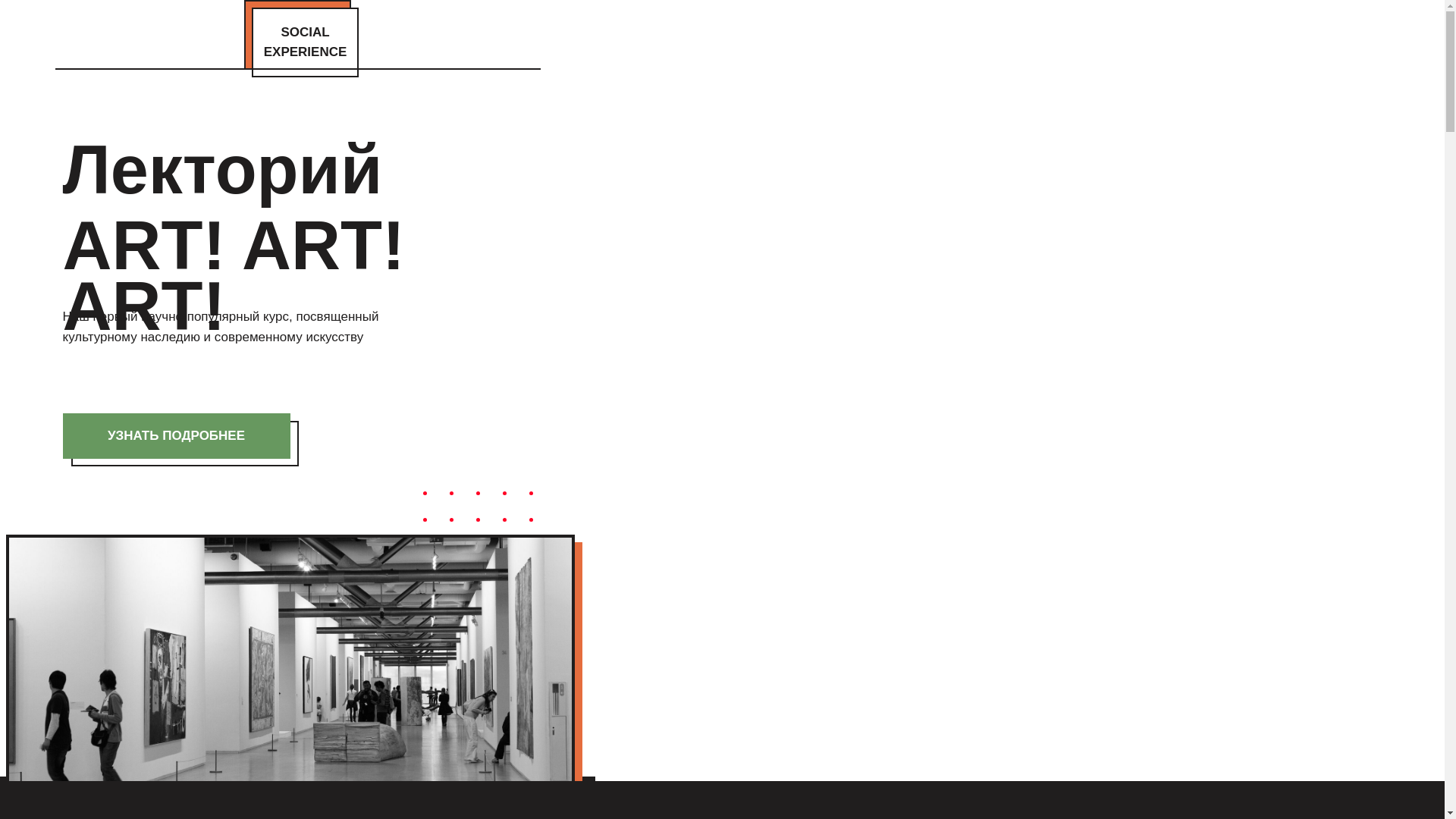 website screenshot of https://socialexperience.ru/