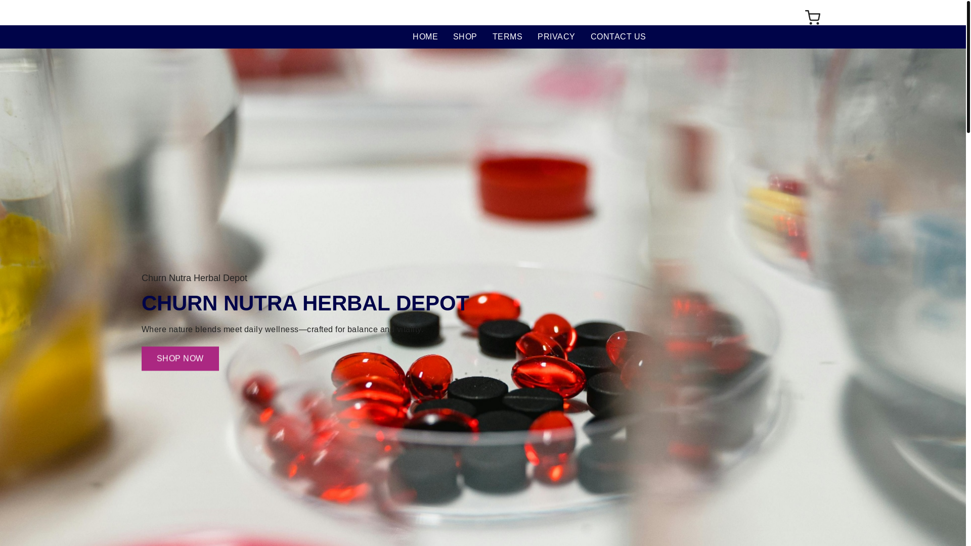 website screenshot of https://churnnutraherbaldepot.com/