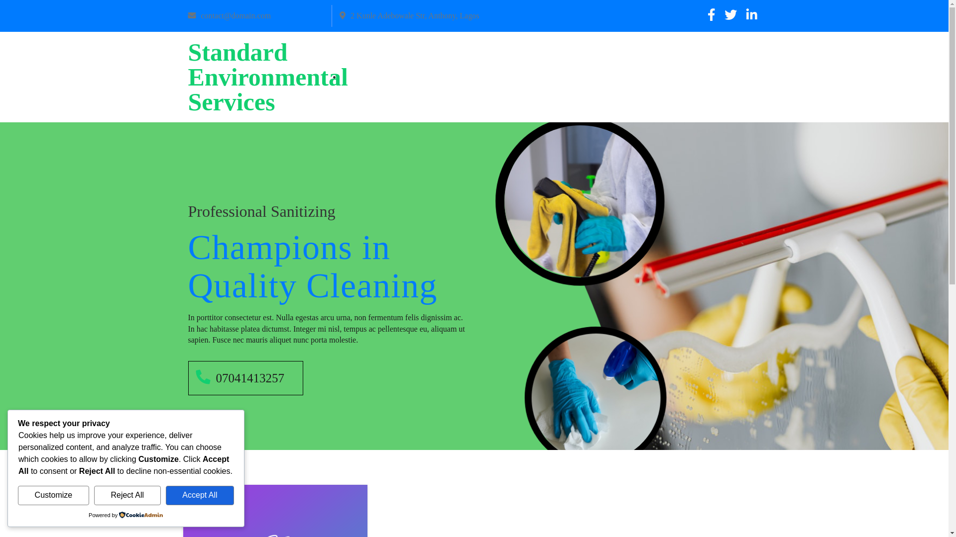 website screenshot of https://standardenvironmentalservices.org/