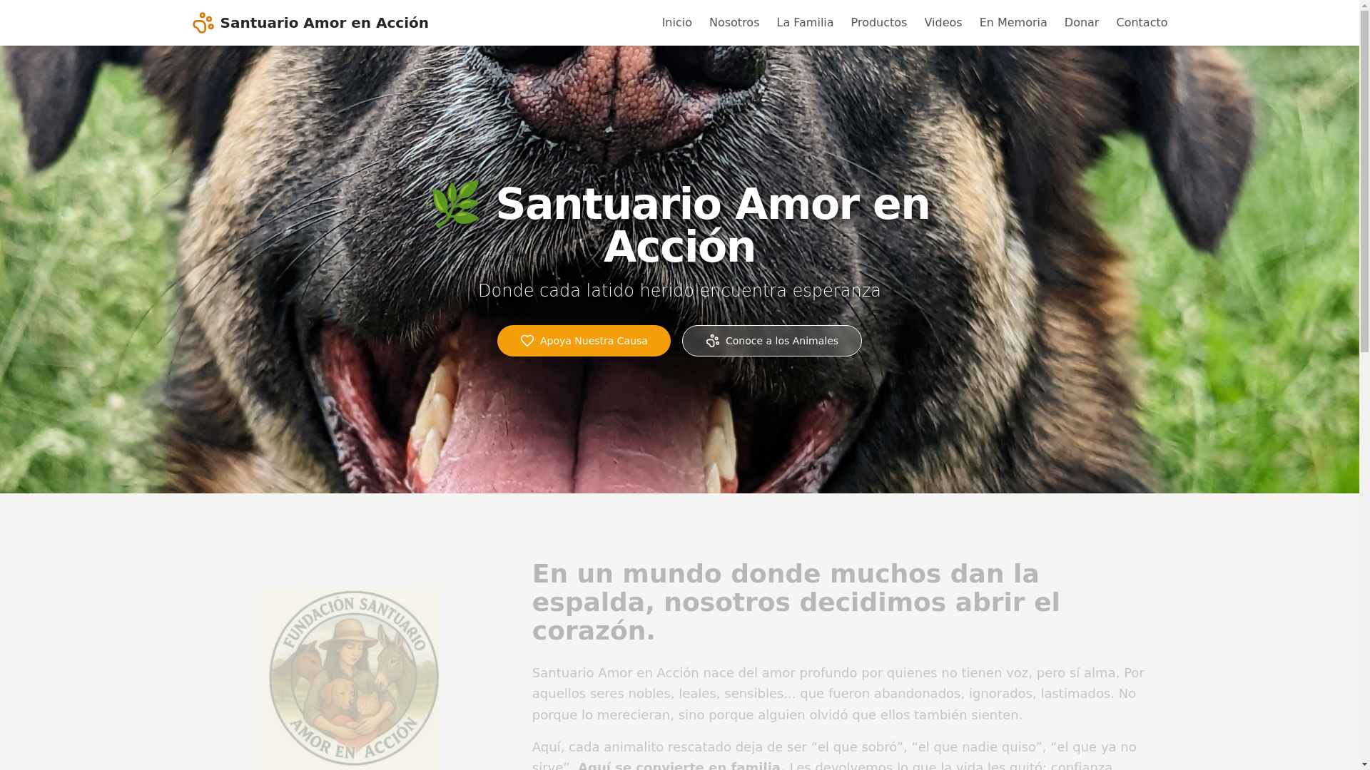 website screenshot of https://santuarioamoraccion.com/