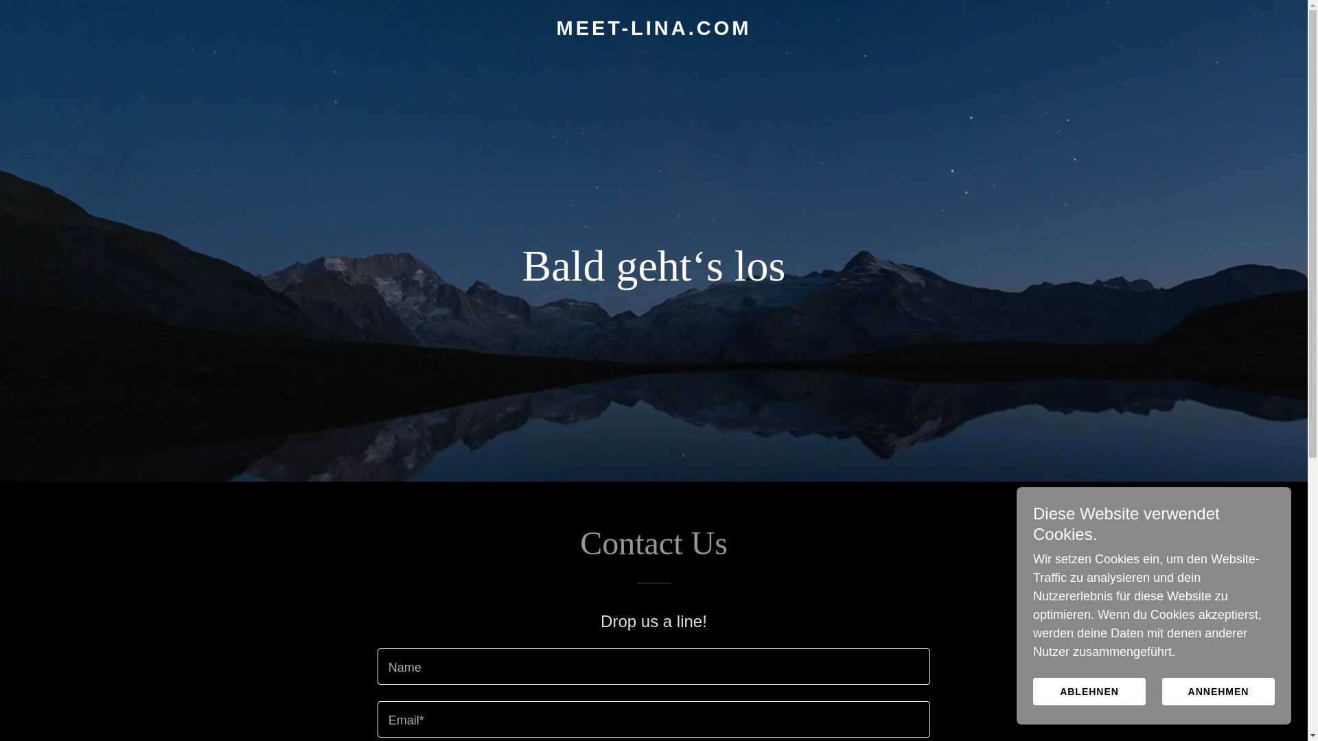 website screenshot of https://meet-lina.com/