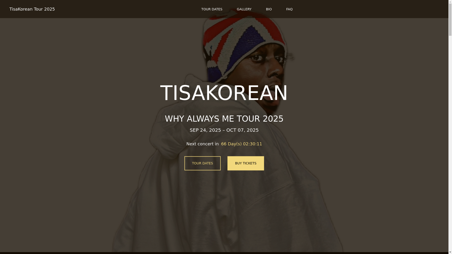 website screenshot of https://tisakoreantour2025-info-github-io.pages.dev/
