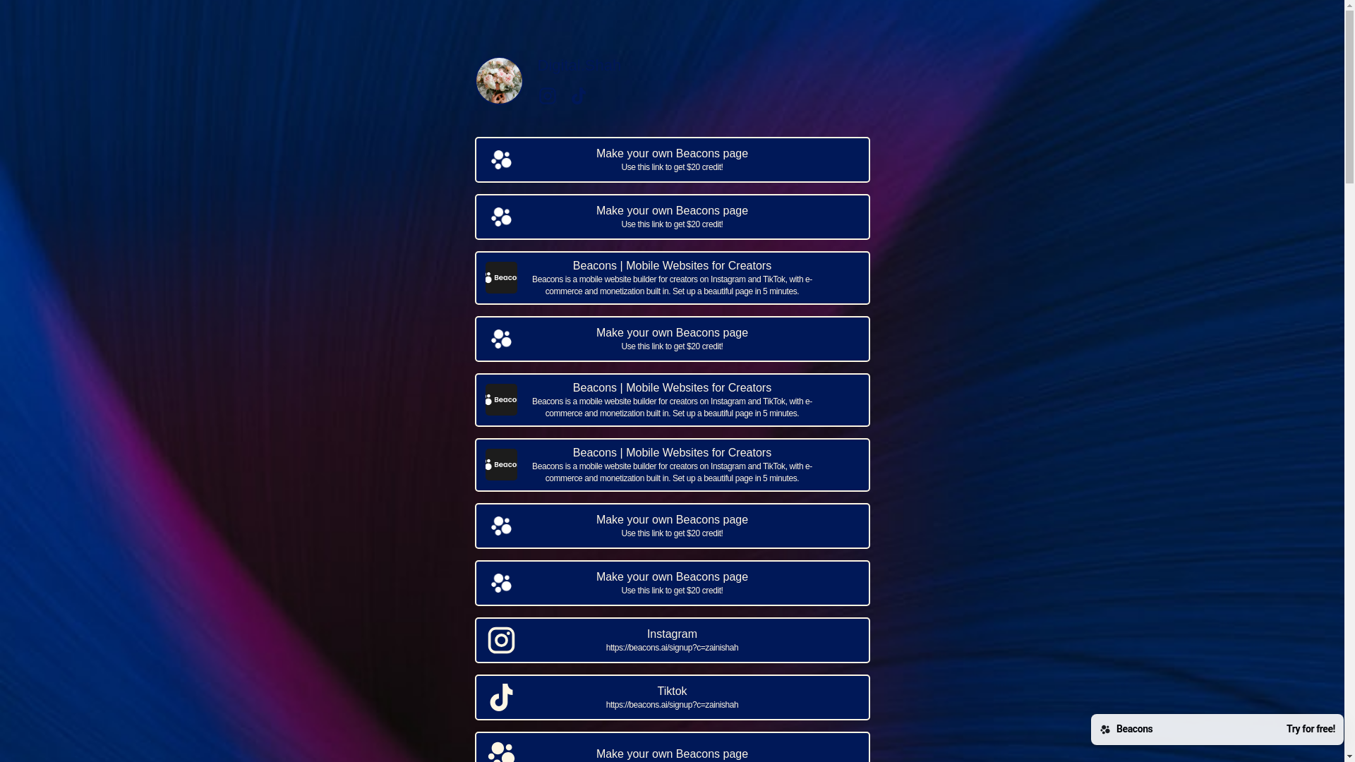 website screenshot of https://zainishah.com/