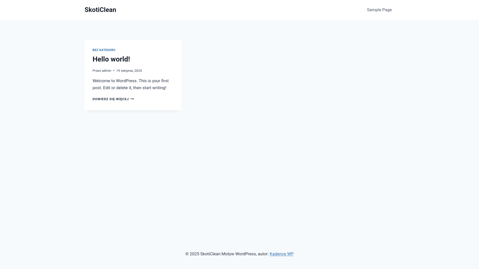 website screenshot of https://skoticlean.pl/